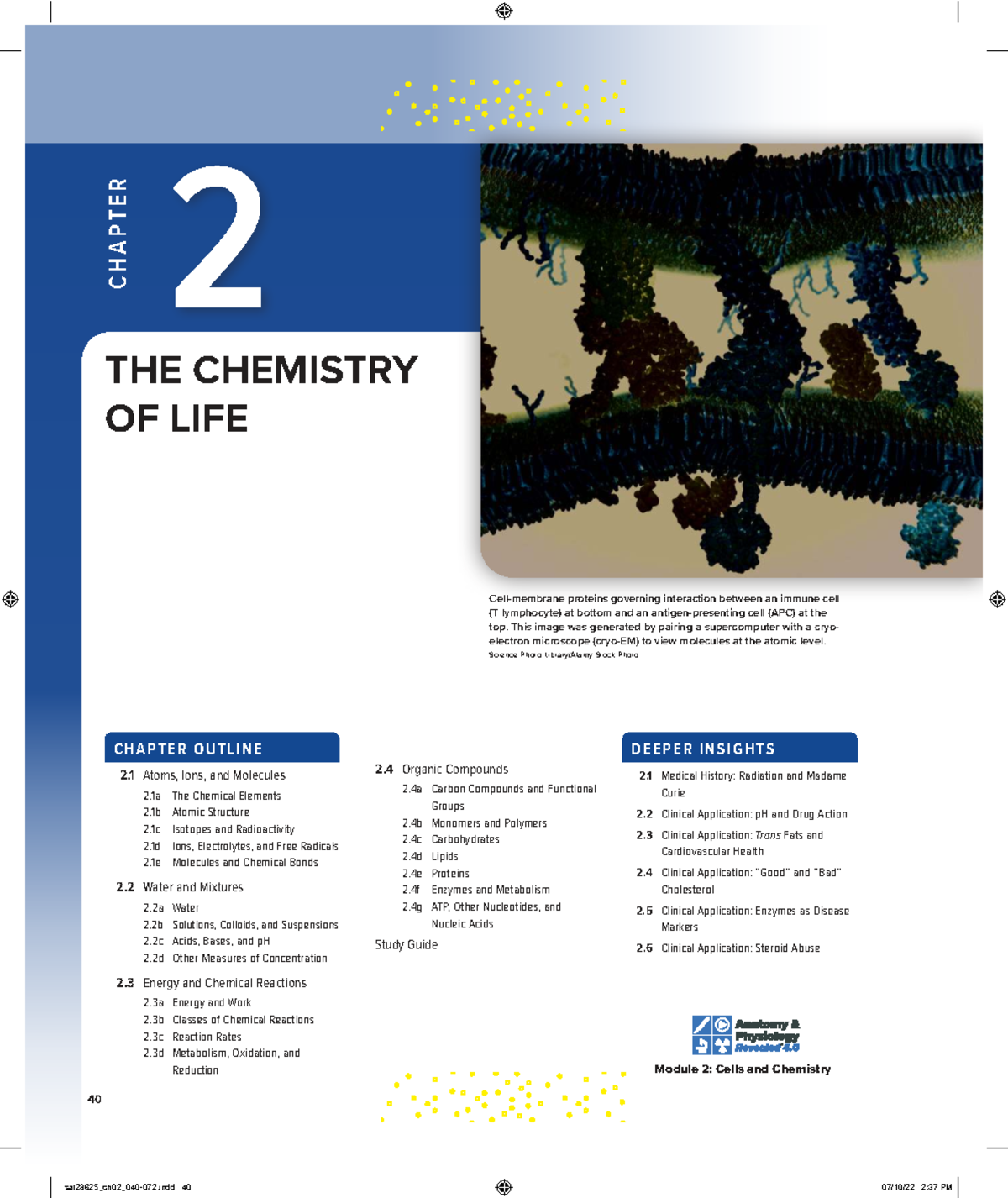 Chapter 2: The Chemistry of Life - Study Guide - Studocu