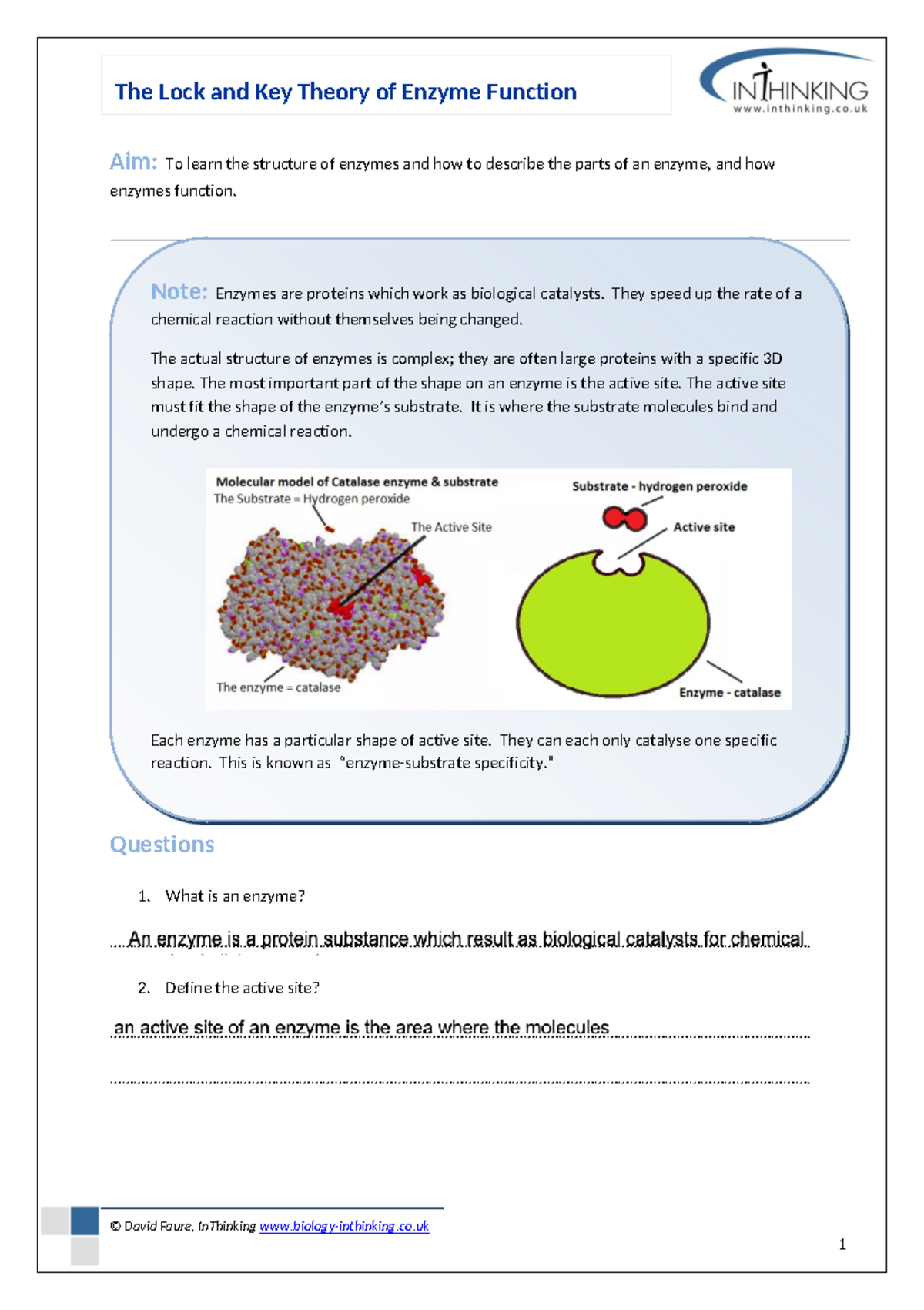 Enzyme Function: Lock and Key Theory Worksheet (Bio 101) - Studocu