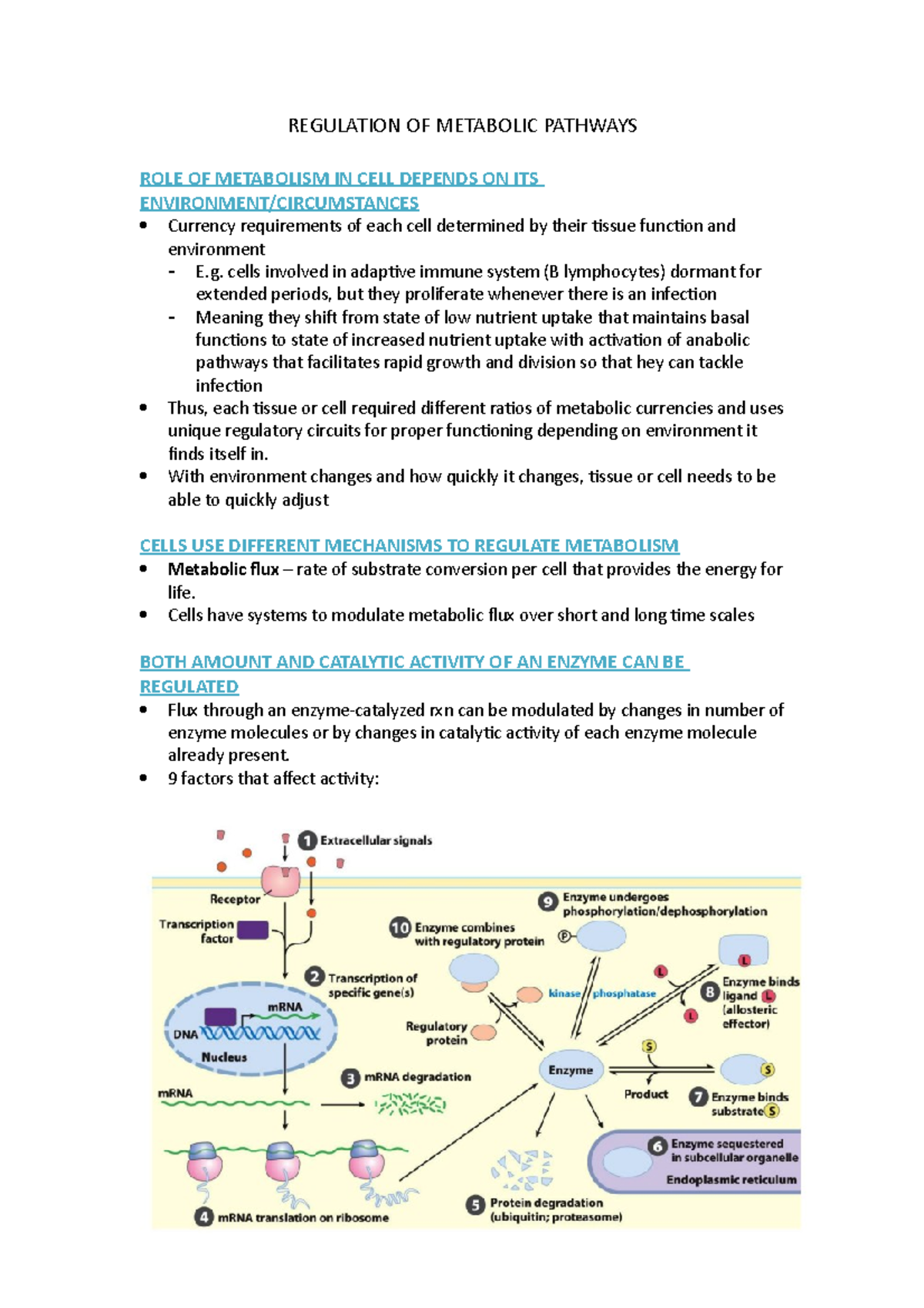 Lecture 5 and 6 regulation of metabolic pathways summary - BCM 357 - UP ...