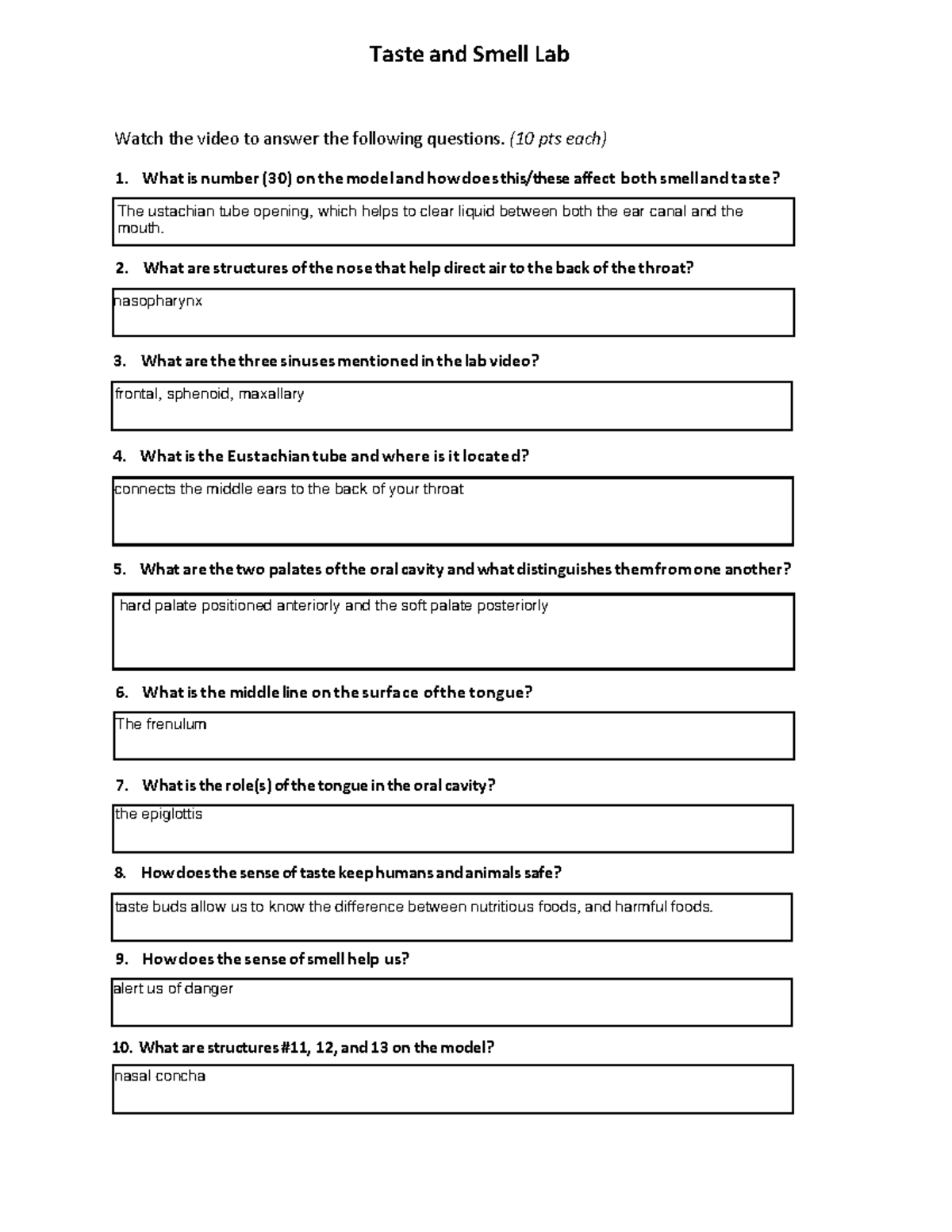 Taste and Smell Lab Questions (Biology 101) Complete Guide - Studocu
