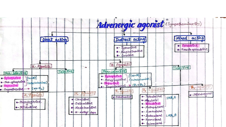 Adrenergic Agonists: Direct, Indirect, and Mixed Acting Agents (PHAR ...