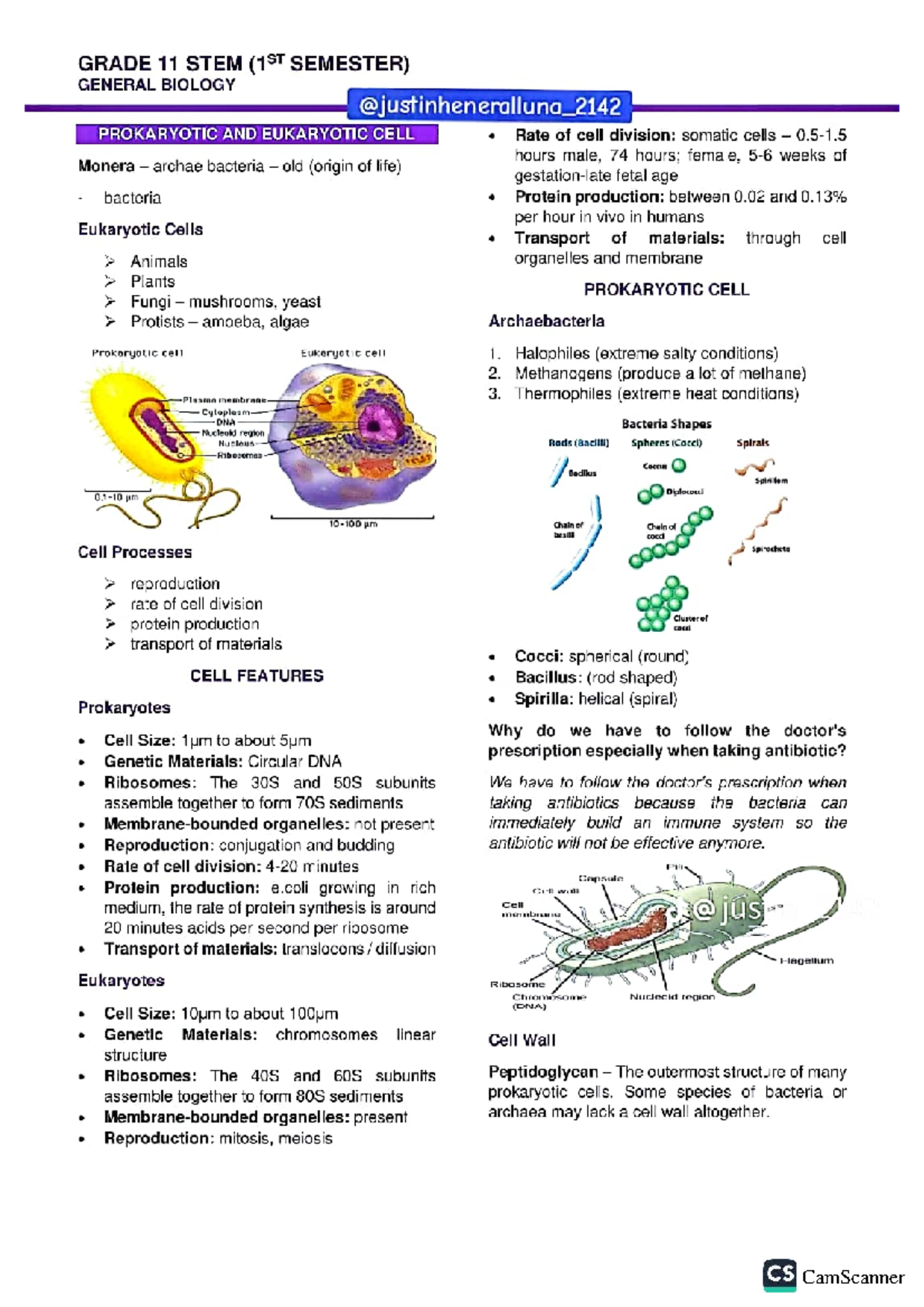 GRADE 11 STEM (1ST SEMESTER) GENERAL BIOLOGY 2142 CELL STRUCTURE AND ...