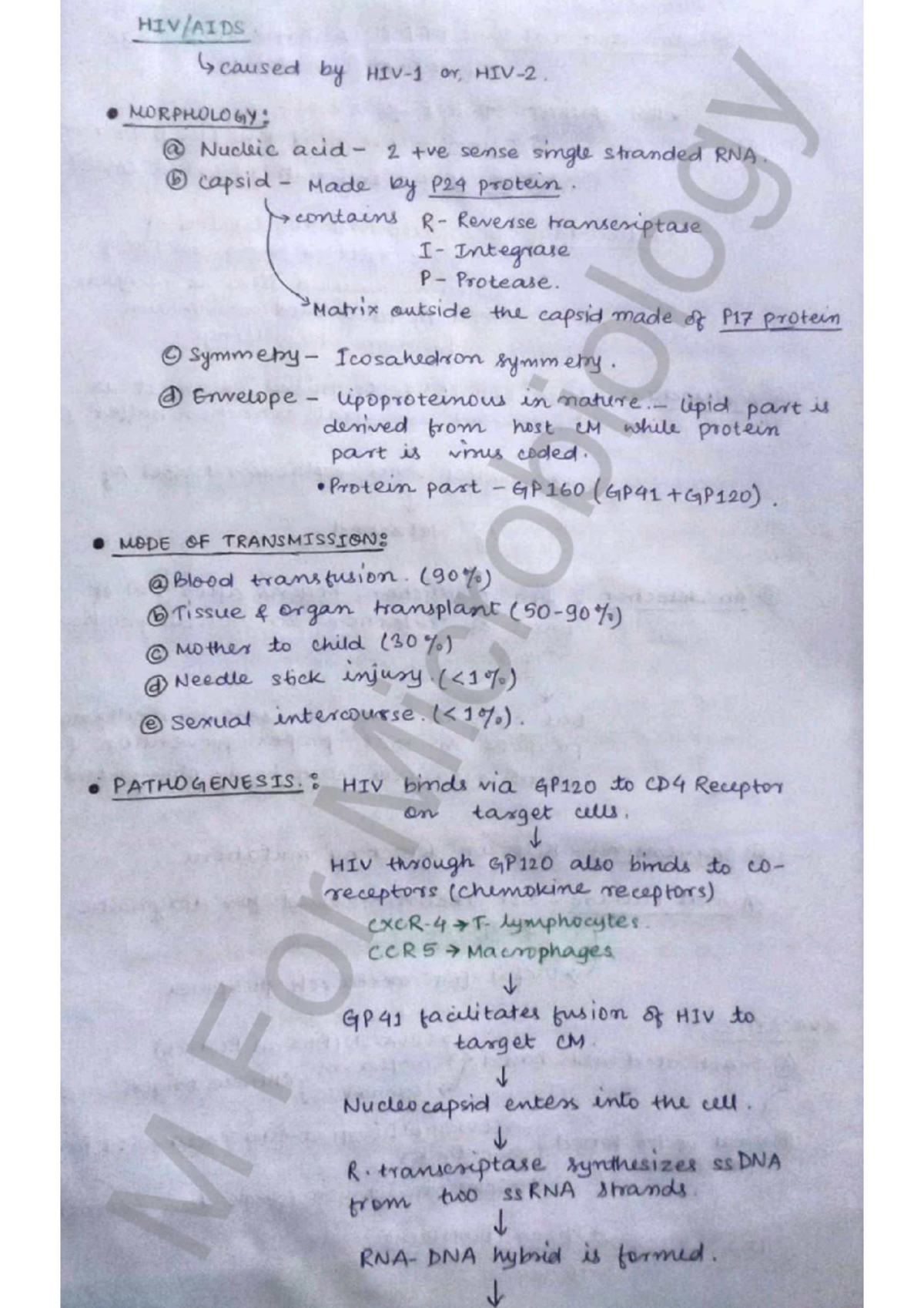 HIV Morphology and Pathogenesis Overview - Part 1 Study Guide - Studocu