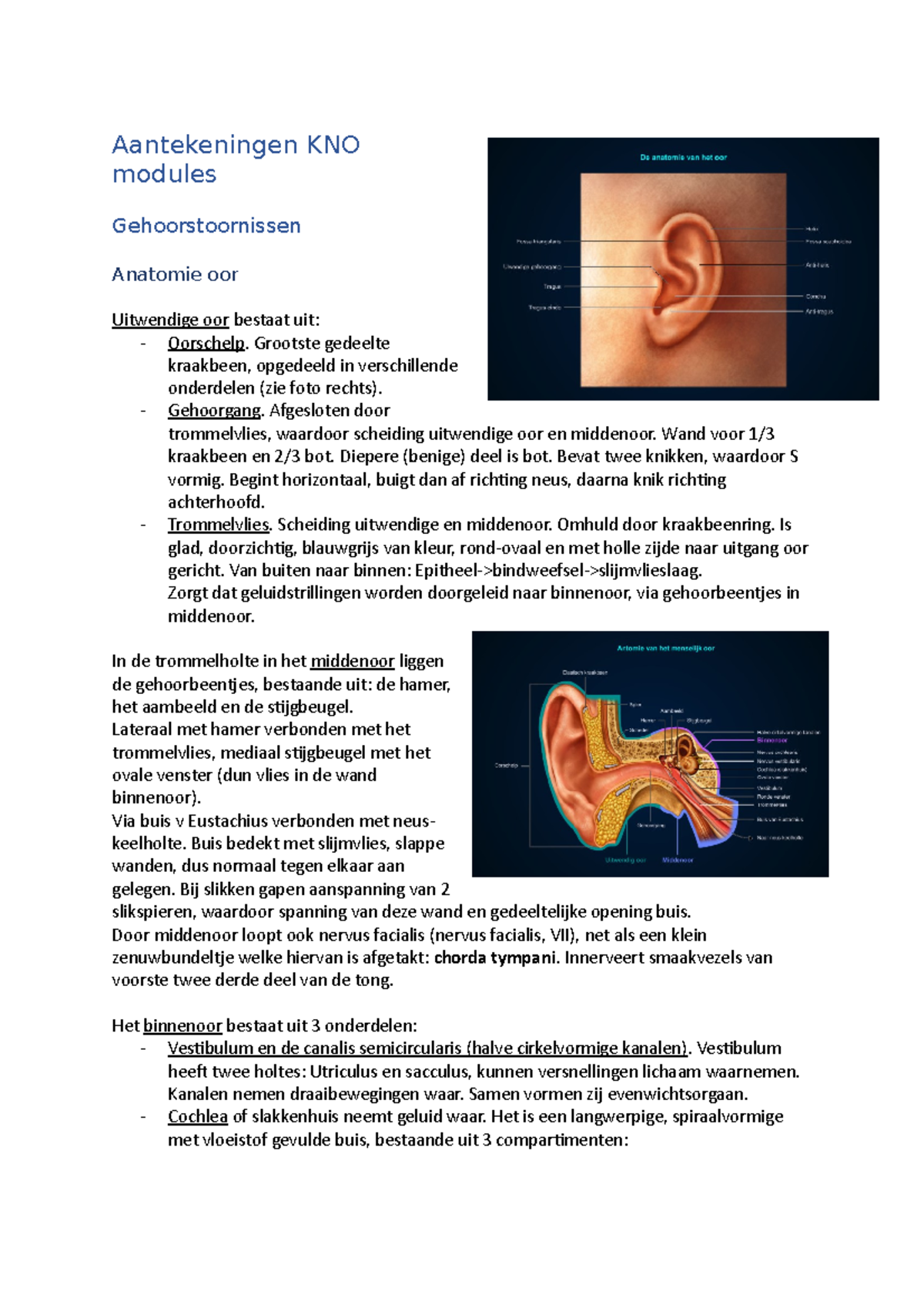 Aantekeningen KNO Module: Gehoorstoornissen en Anatomie Oor - Studeersnel