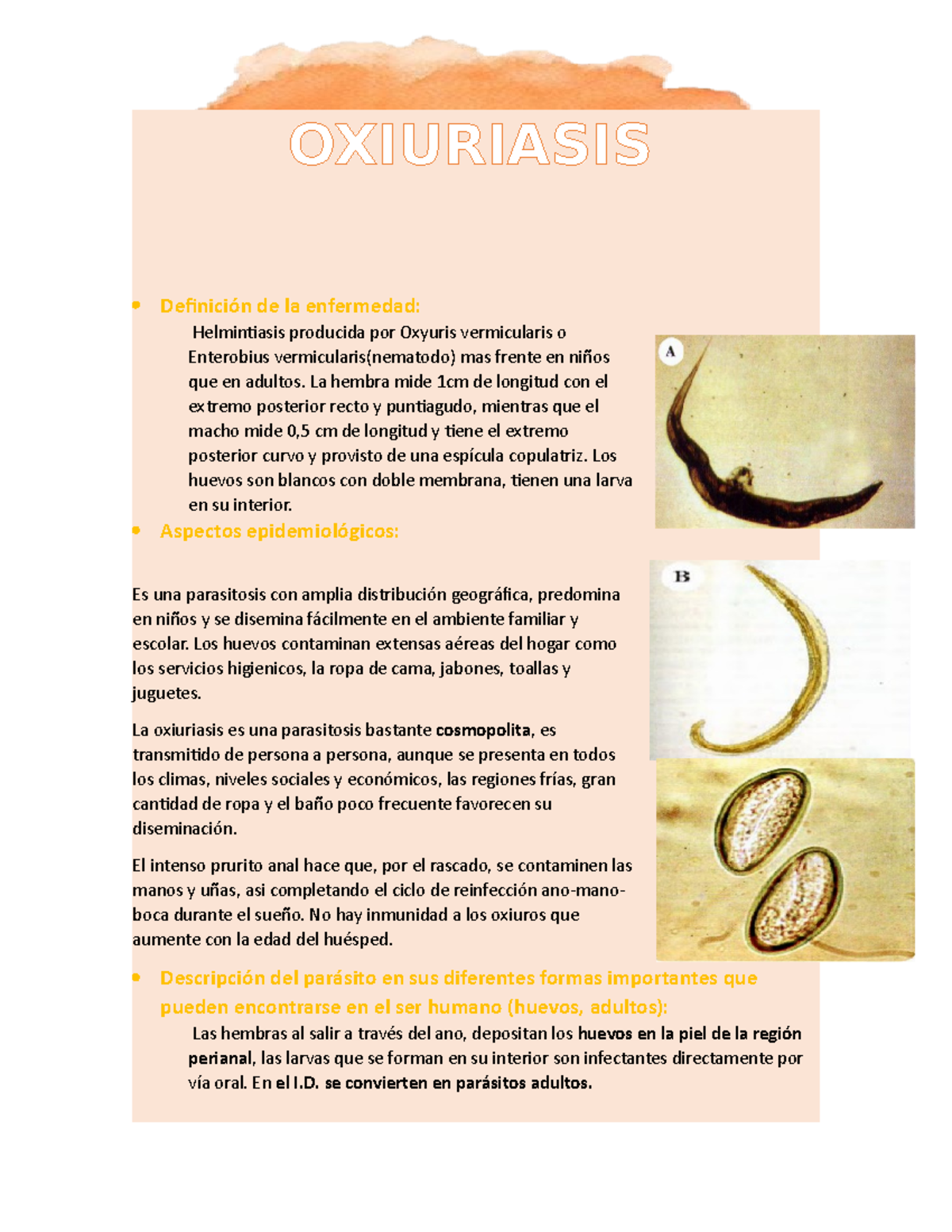 oxiuriasis-y-enterobiasis-estudio-de-parasitolog-a-botero-studocu