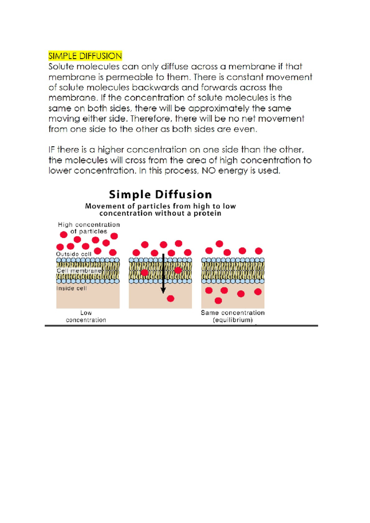Doc3 - Simple Diffusion - Studocu