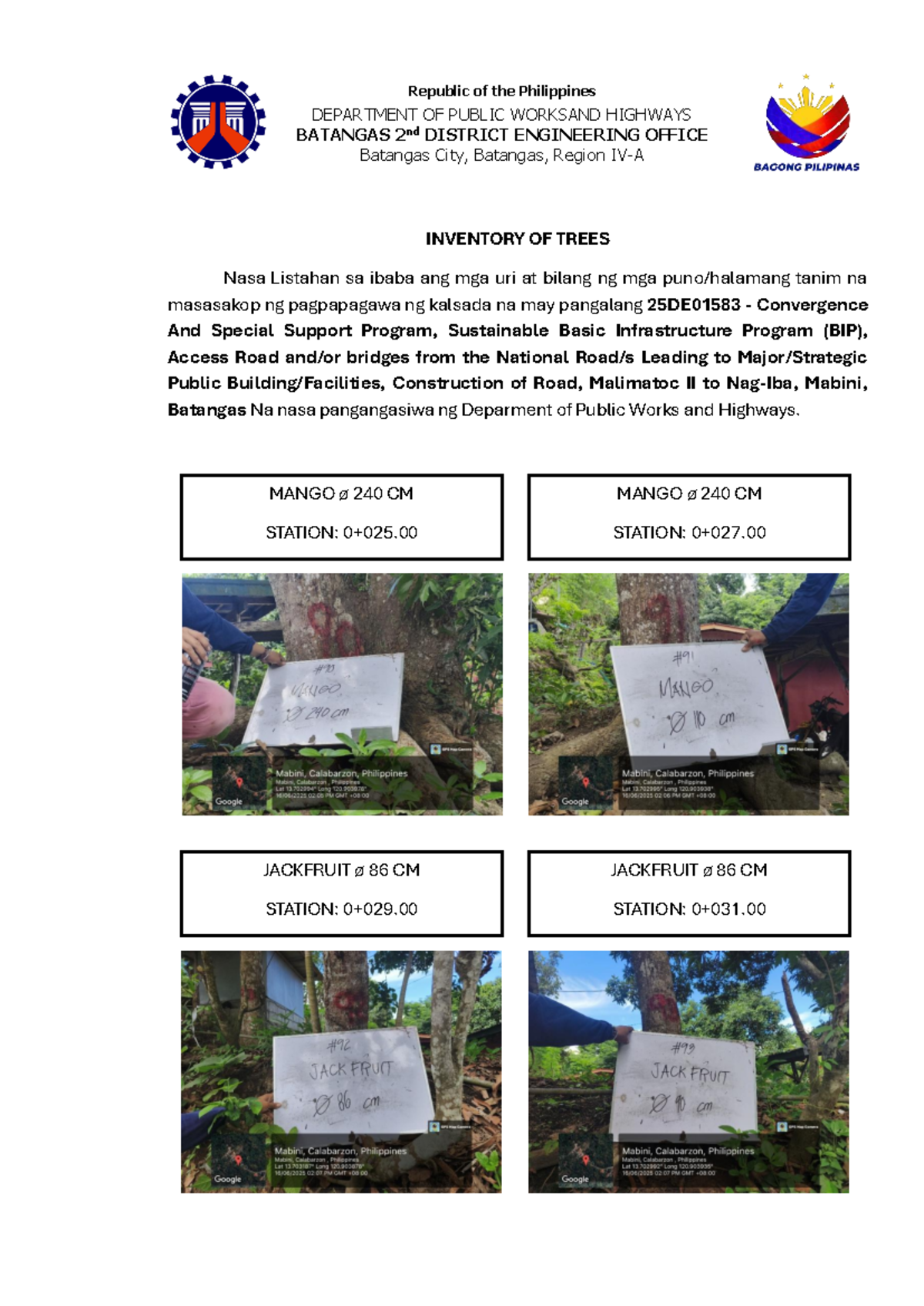 TR.86 Malimatoc NAG–IBA ROAD Tree Inventory Report - Studocu