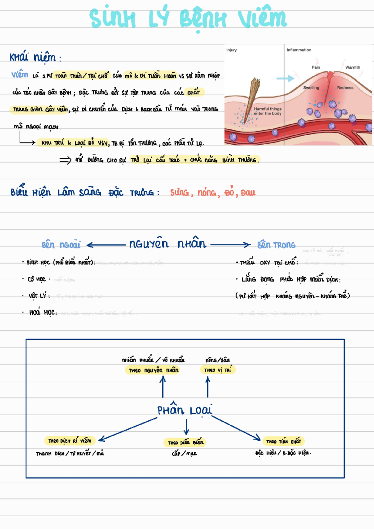 SINH LÝ BỆNH VỀ VIÊM VÀ CÁC YẾU TỐ LIÊN QUAN ĐẾN PHẢN ỨNG VIÊM