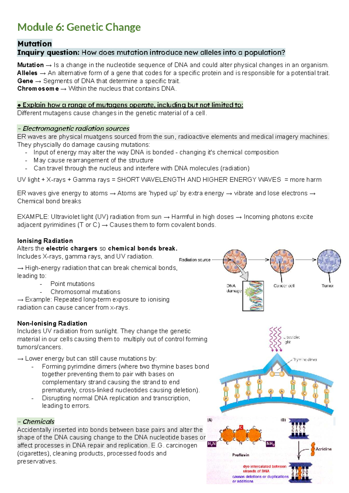 Module 6: Genetic Change & Mutation - Inquiry on Alleles in Populations ...