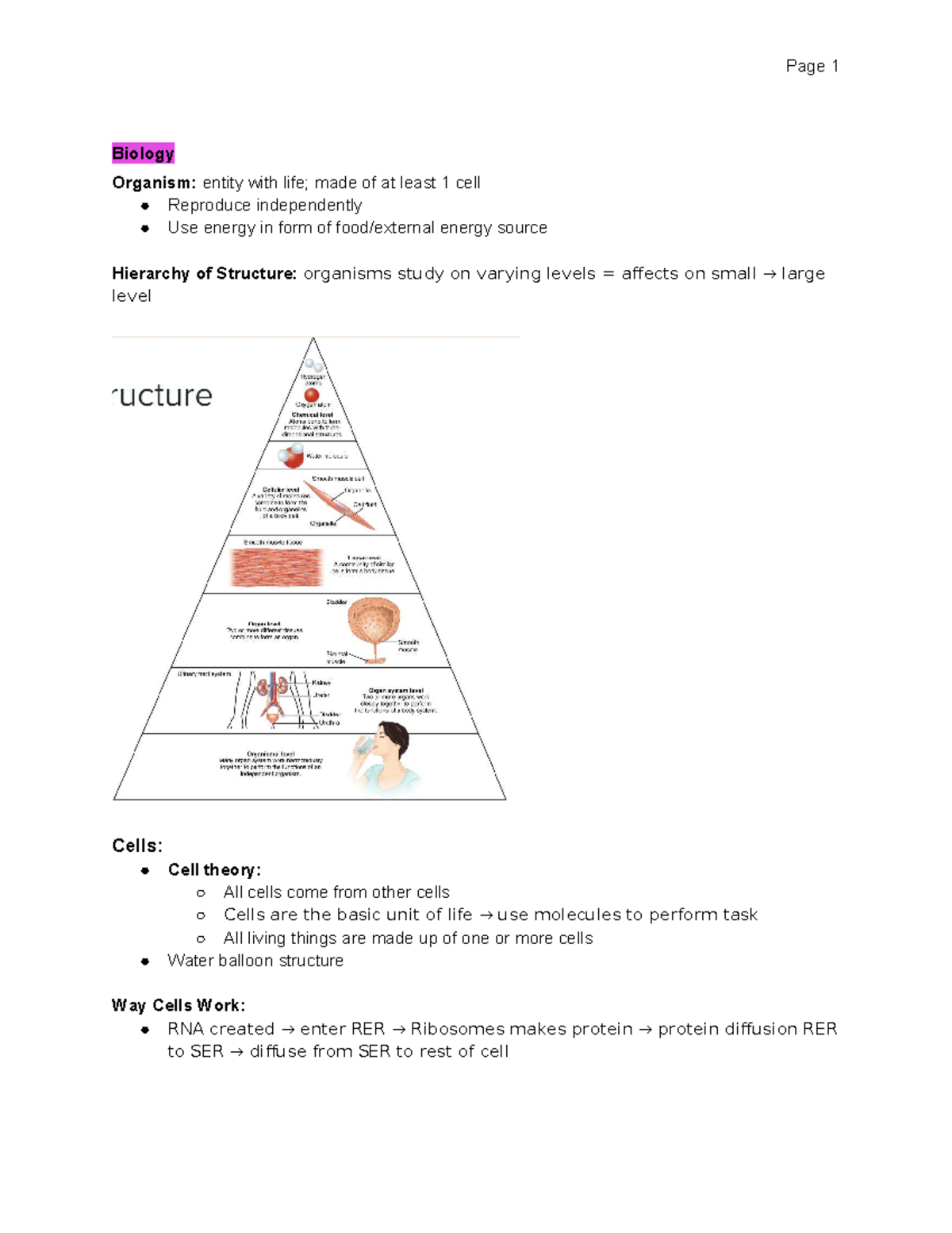 SNC2DEA Biology Final Exam Review: Key Concepts and Cell Functions ...