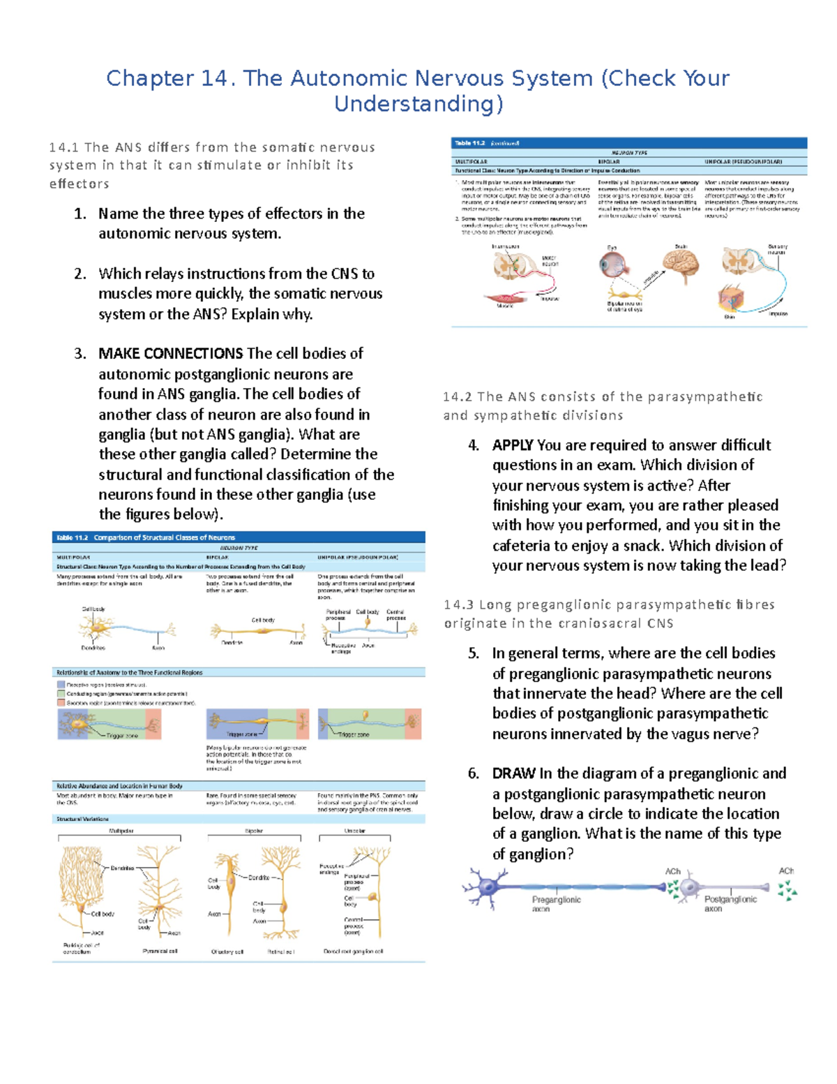 Chapter 14: Understanding the Autonomic Nervous System Concepts - Studocu