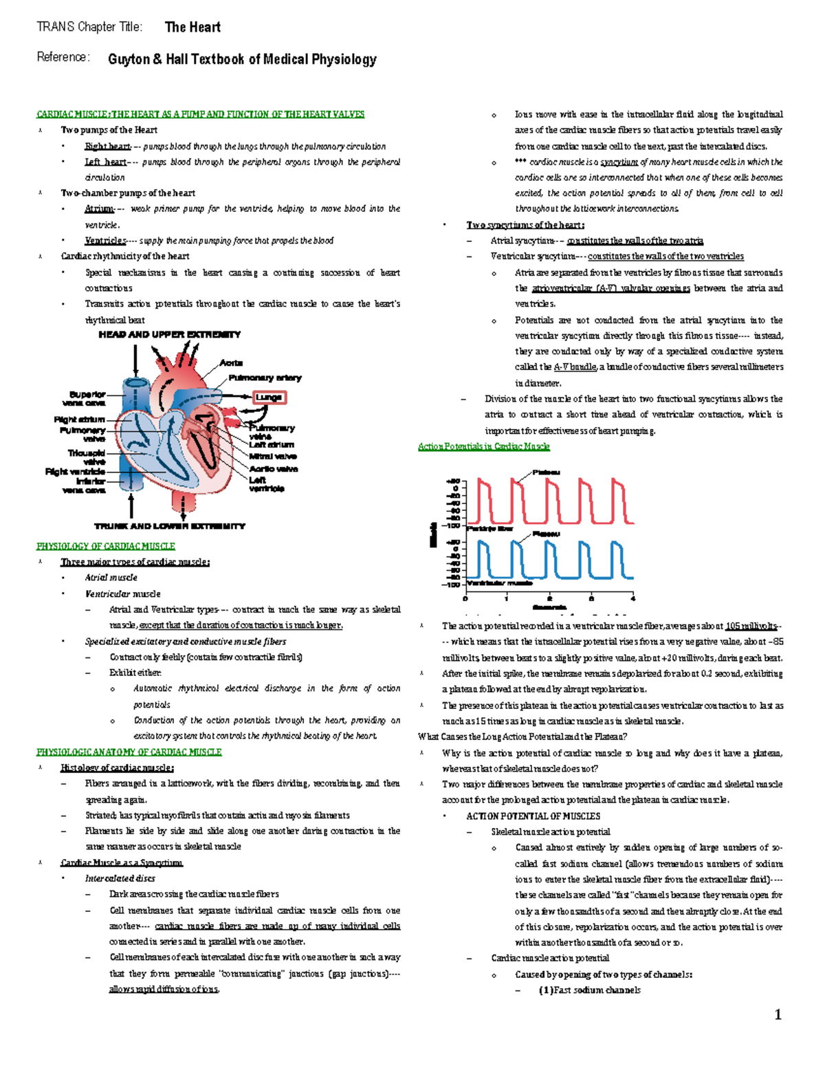 Guyton & Hall Physiology CH9: The Heart's Function and Mechanics - Studocu