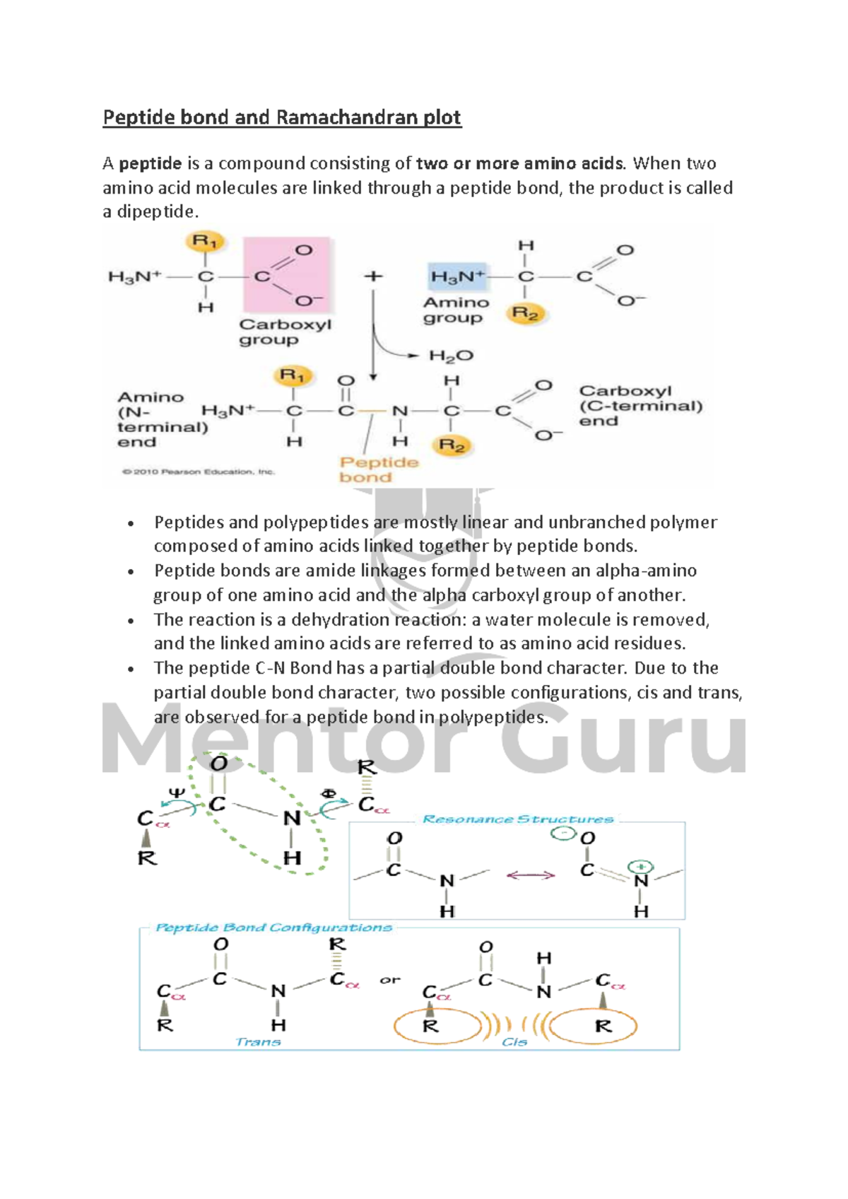 Peptide Bonds and Ramachandran Plot Notes (BIO 101) - Studocu