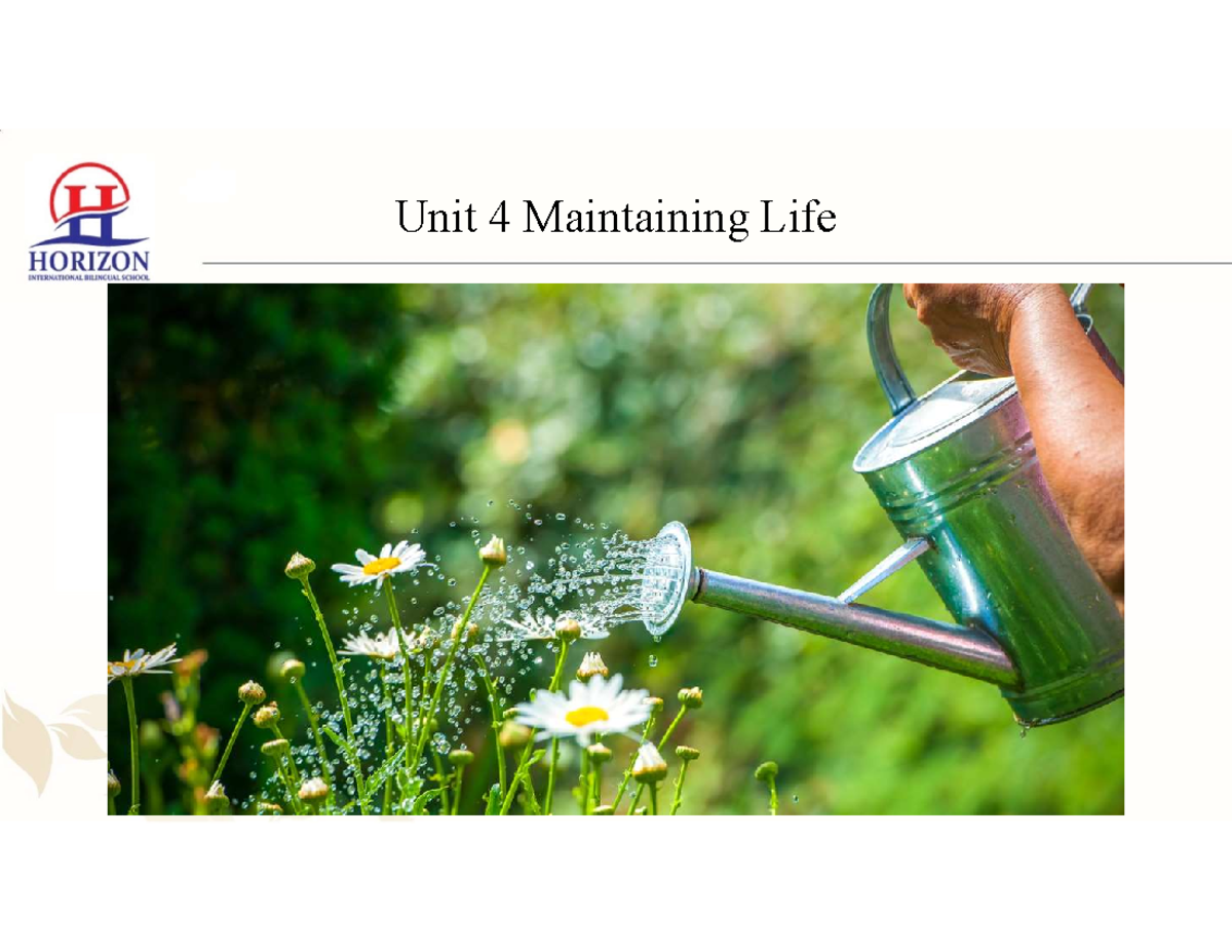 Science 9 - Unit 4: Maintaining Life & Lesson 4 Water in Plants ...