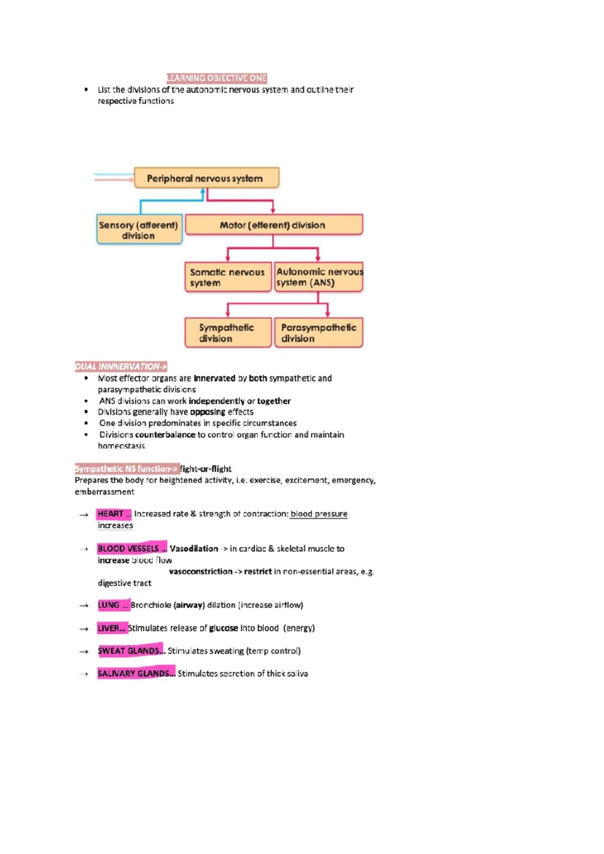 ISBAR Progress Notes Template for Patient Sam Camilleri (Case Study ...