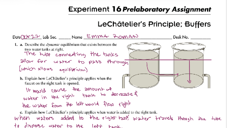 Experiment 16: Prelab Assignment on Buffers and Equilibrium - Studocu