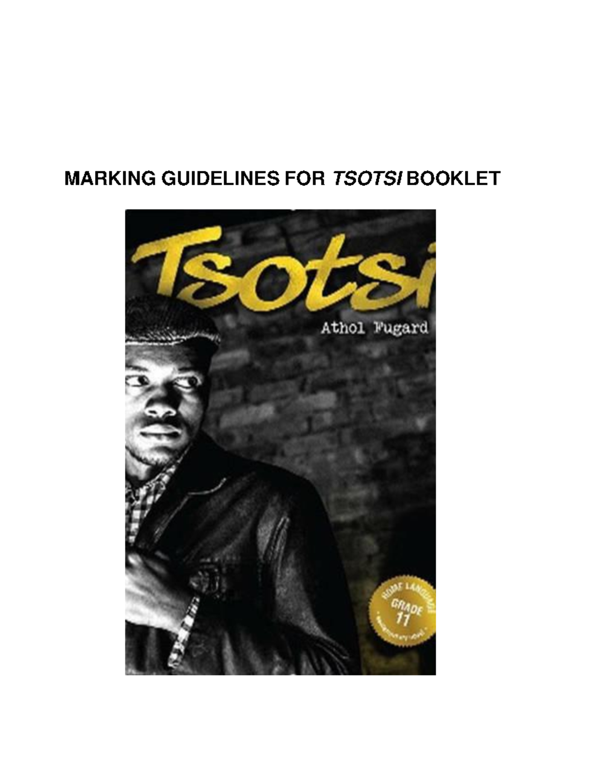 MARKING GUIDELINES FOR TSOTSI BOOKLET: Chapter Analysis and Discussion ...