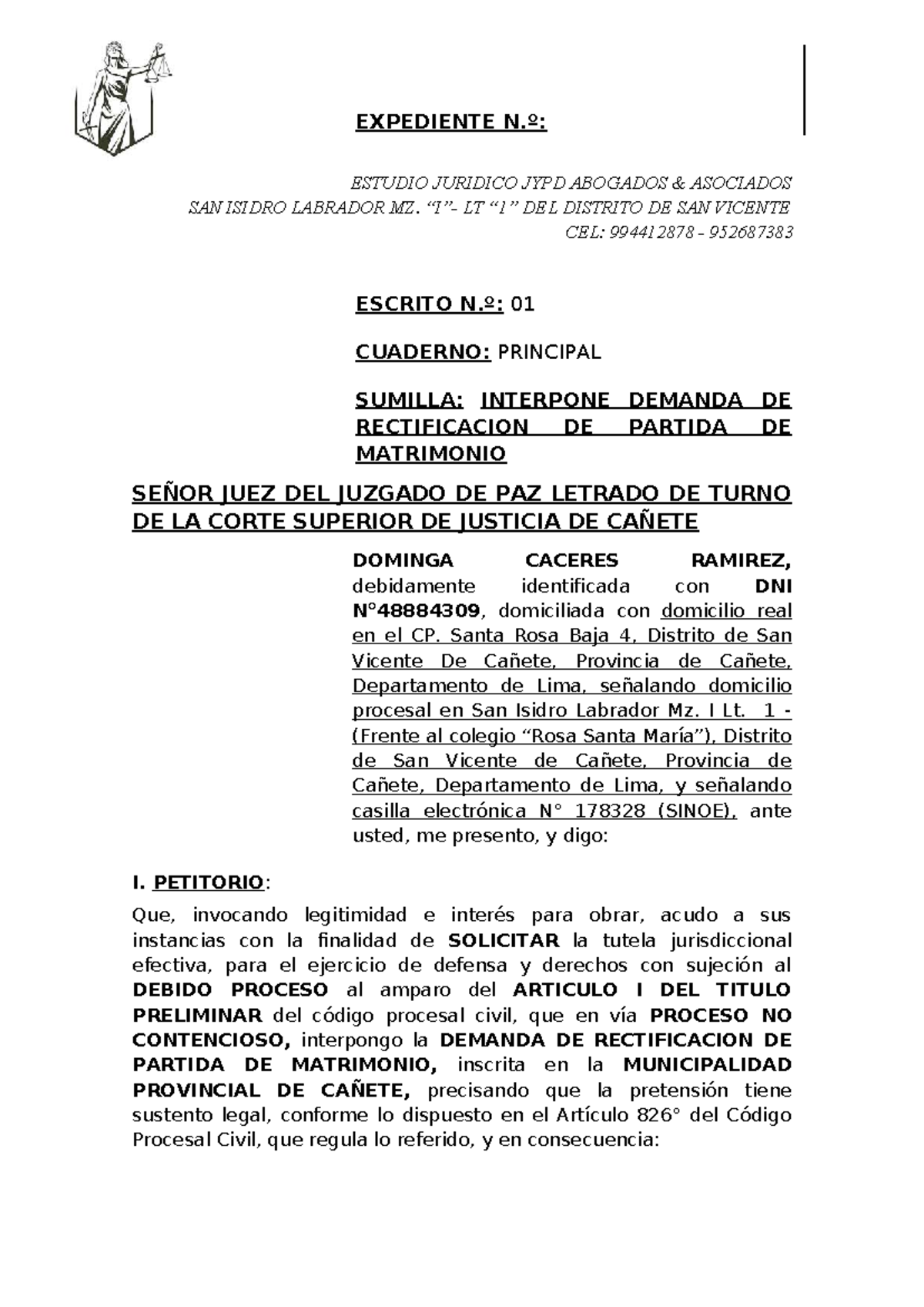 Demanda de Rectificación de Partida de Matrimonio - JYPD Abogados - Document Preview