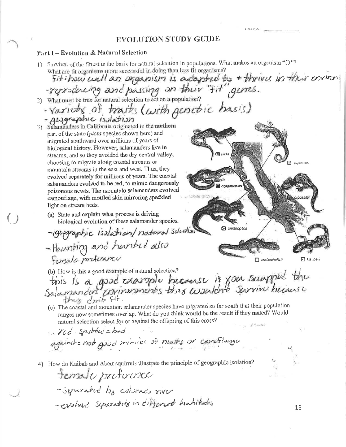 Study guide evolution ans 1125 - EVOLUTION STUDY GUIDE Part I Evolution ...