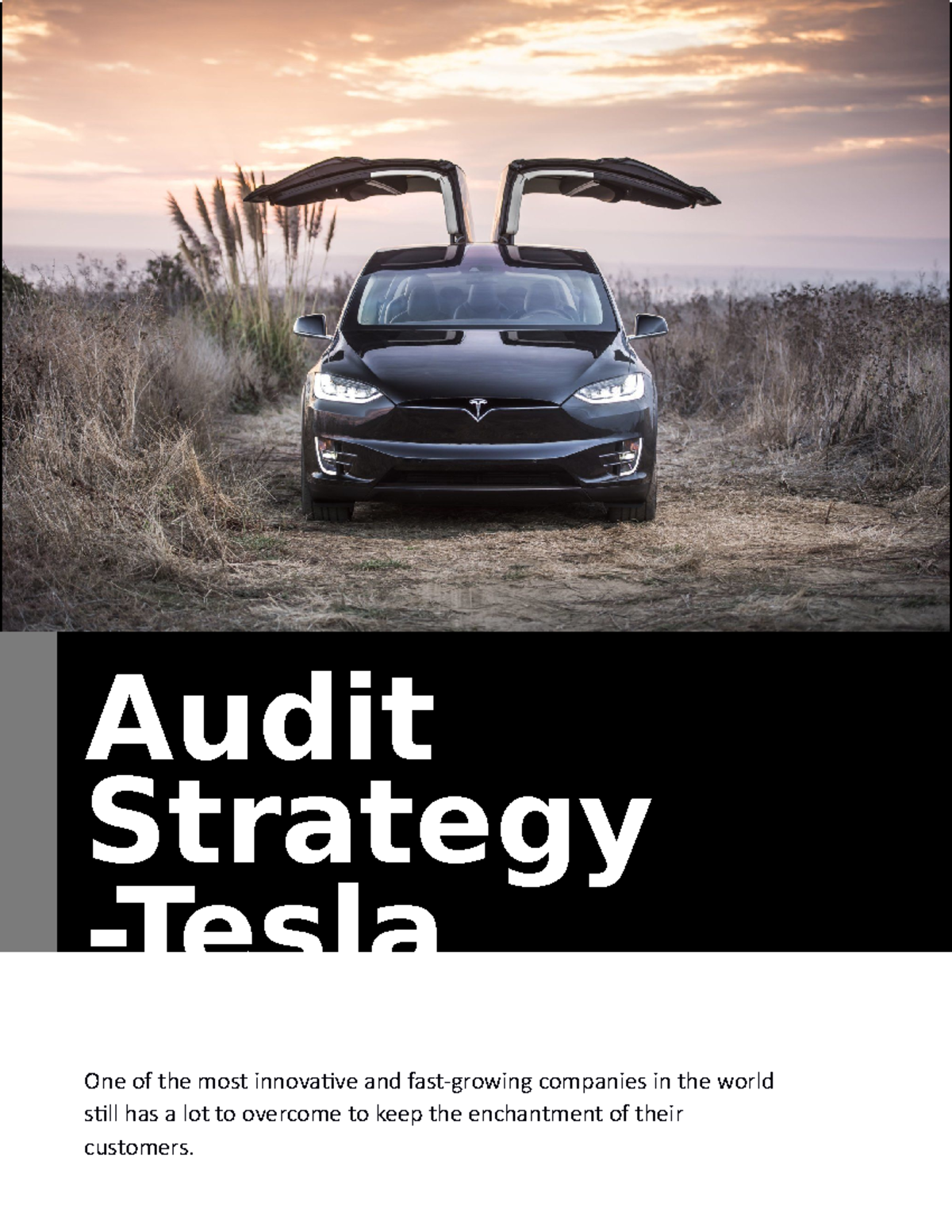 4C - Tesla Strategy Audit: Strengths, Weaknesses, Opportunities ...