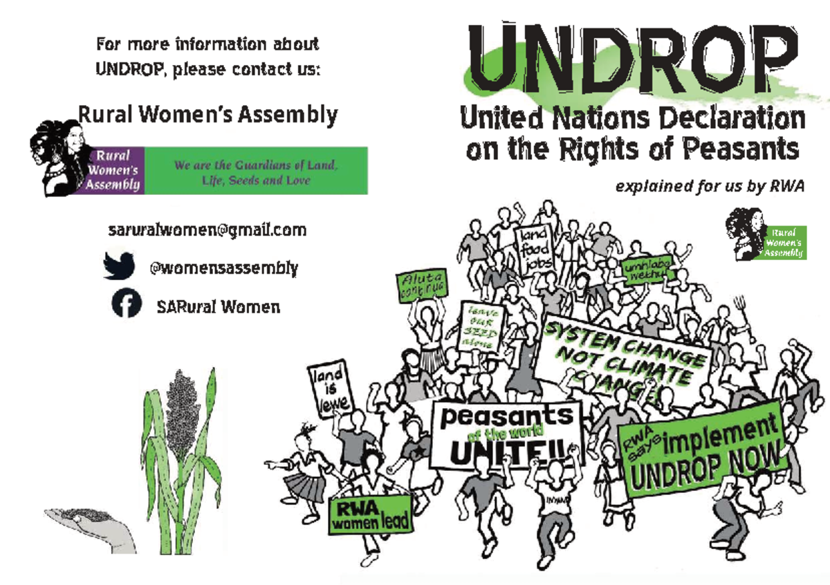 Booklet - Understanding UNDROP: The Political Meaning of 'Peasant ...