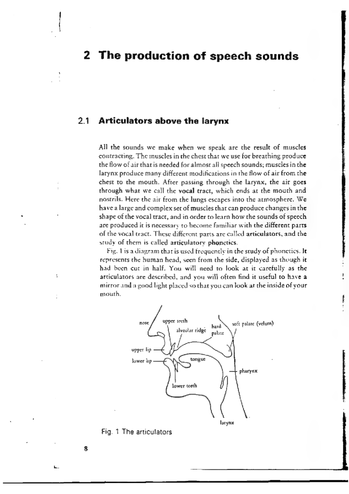 Roach 2: The Production of Speech Sounds - Articulators & Vowels - Studocu