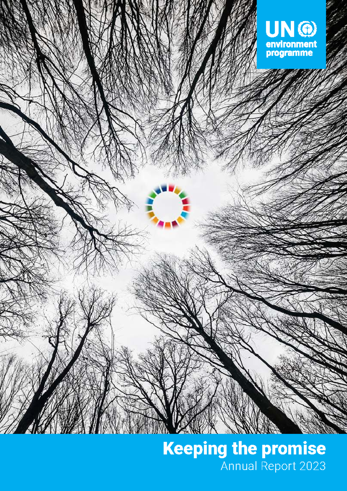 UNEP Annual Report 2023: Progress and Challenges in Climate Action ...