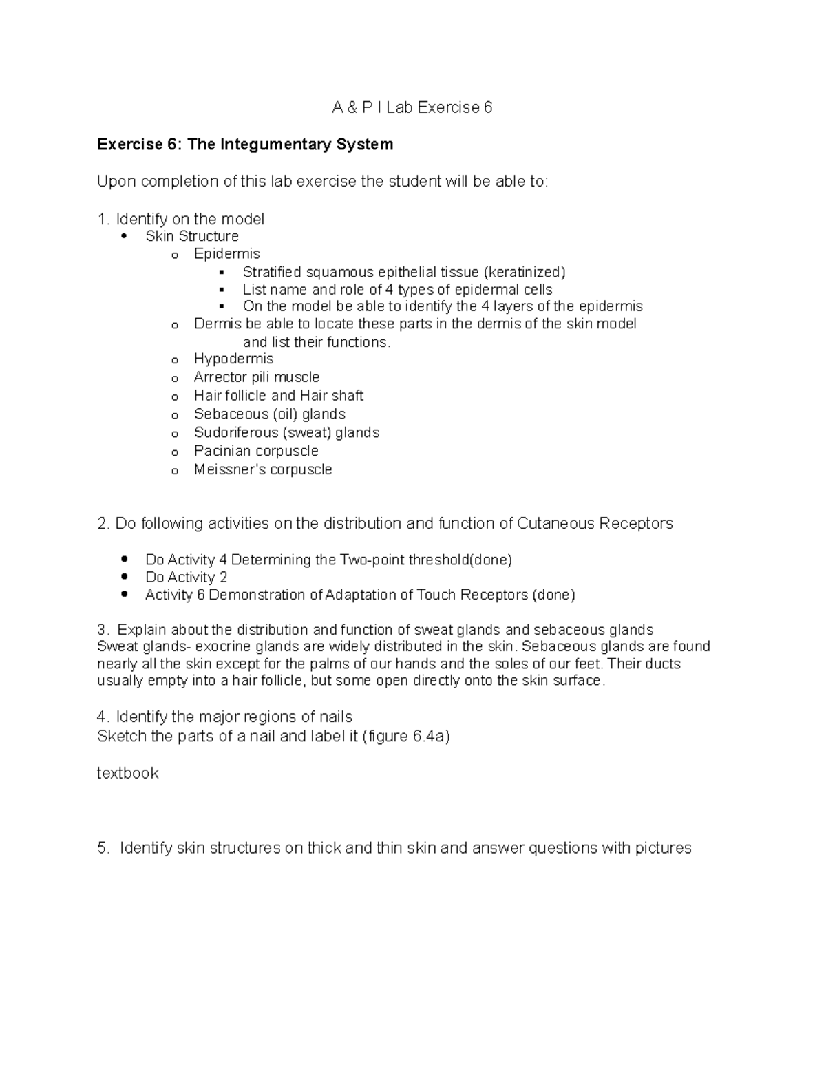 A&P I Lab Exercise 6: The Integumentary System Overview - Studocu