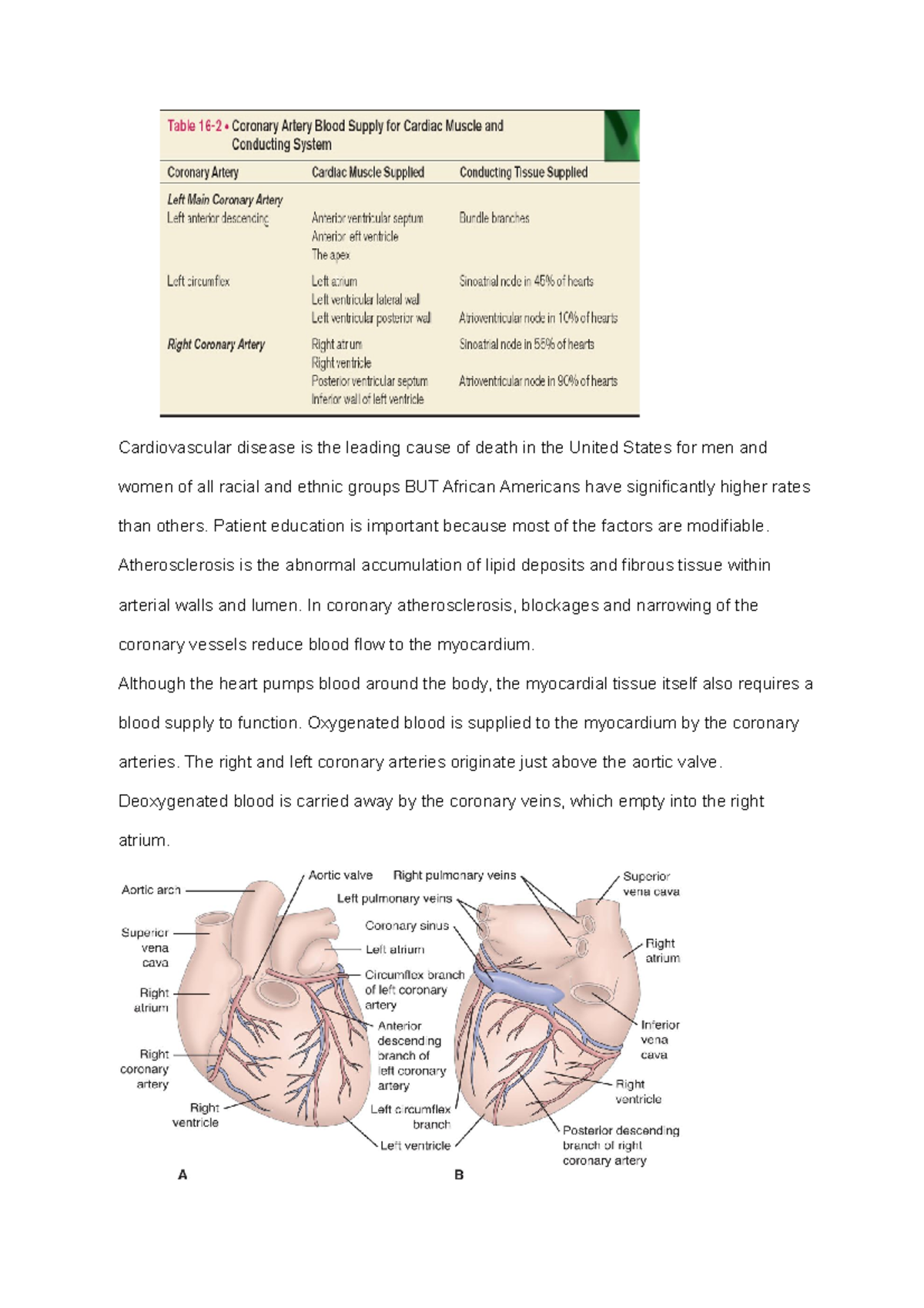 Cardiac Diseases Exam 1 Review Notes for NUR 312 - Studocu