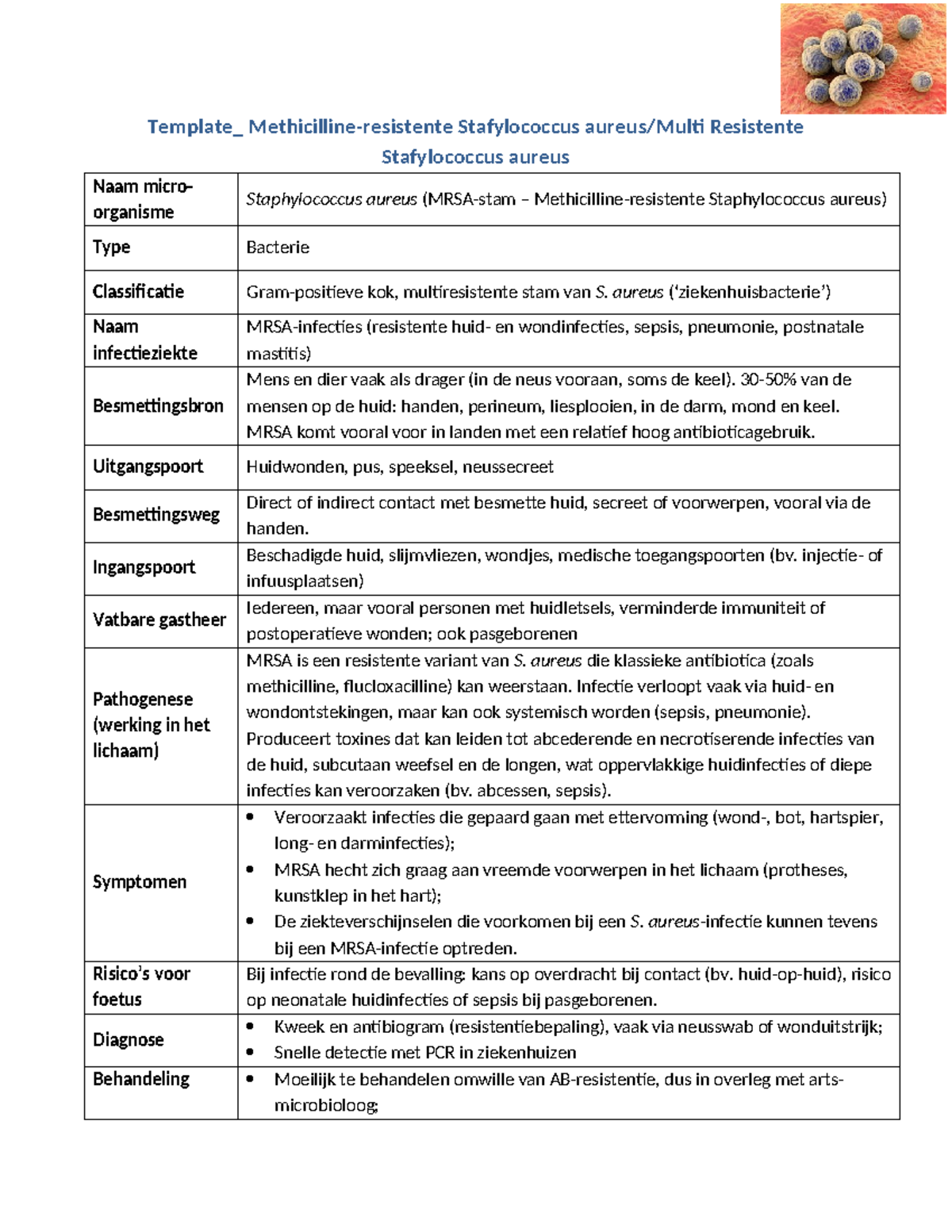 Template MRSA Stafylococcus aureus: Infections & Treatment Guide - Studocu
