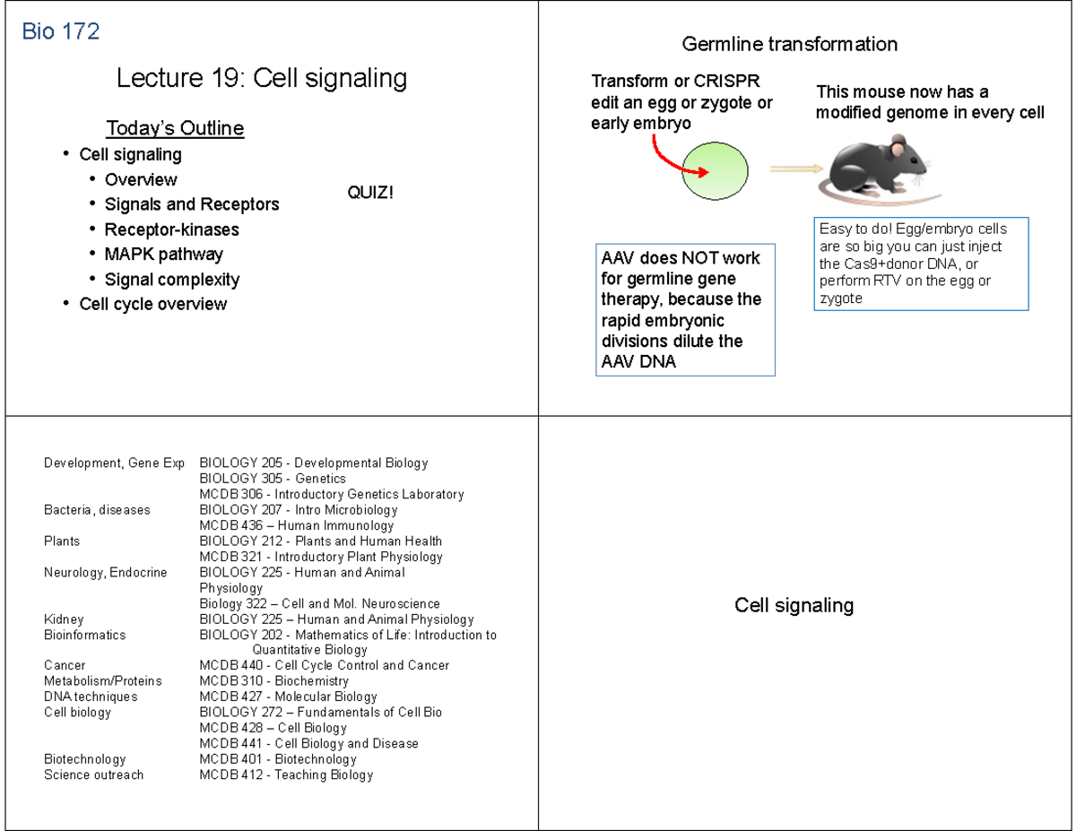 Lecture 19: Cell Signaling and the MAPK Pathway Overview (Bio 172 ...