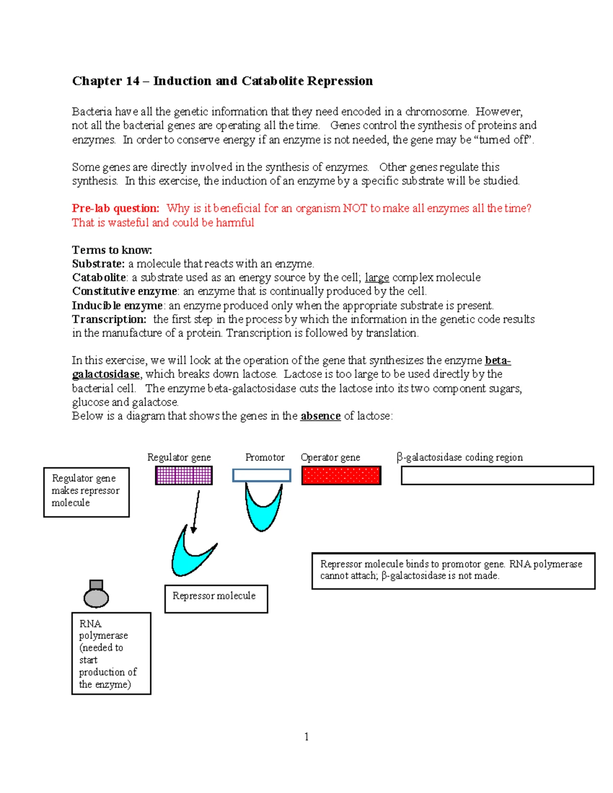Chapter 12: Exploring Skin Microbiota and Their Functions (Bio 101 ...