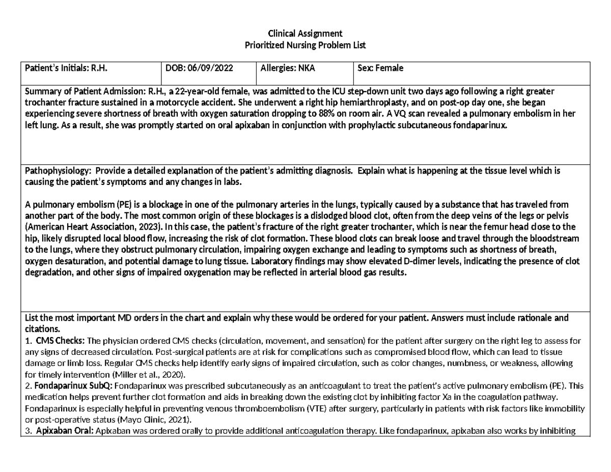 NSG 223 Clinical Assignment Nursing Problem List - Clinical Assignment ...