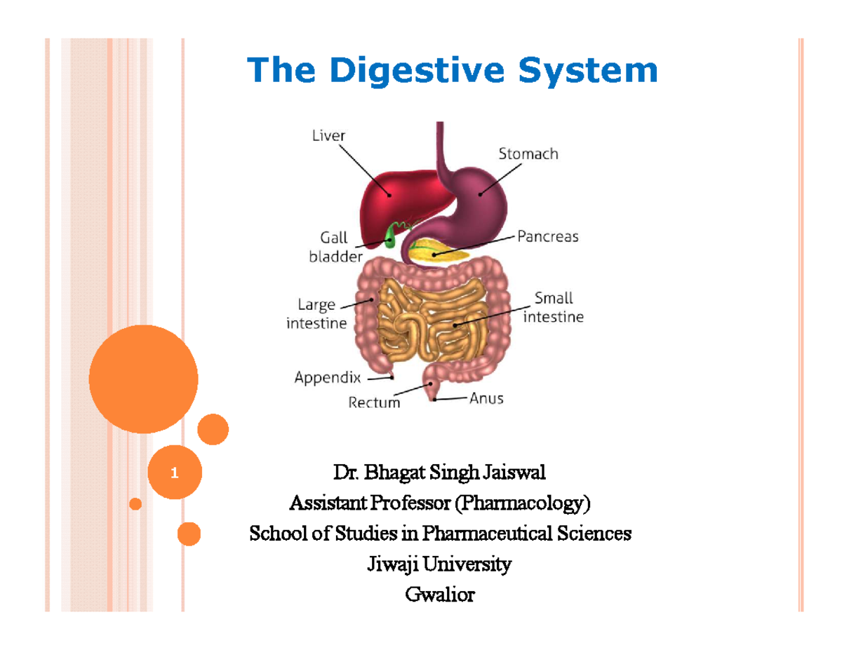 The Digestive System Overview - NMS 1 - Studocu