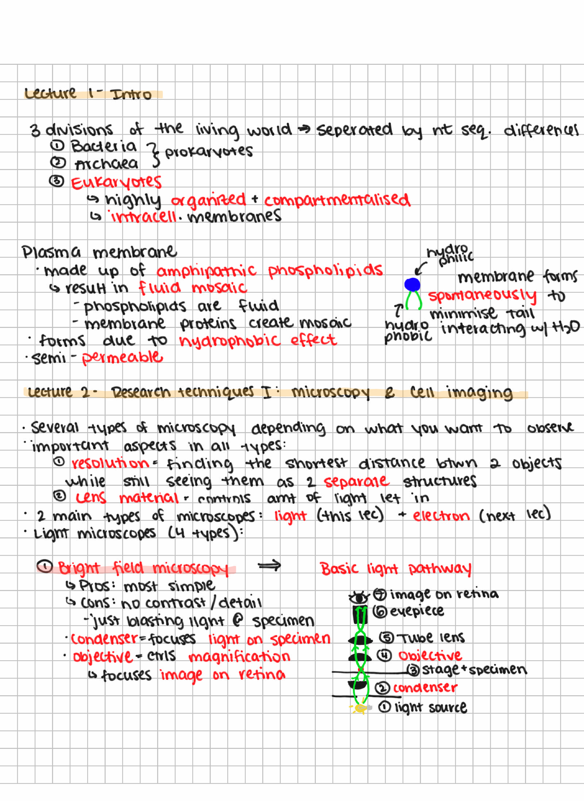 Lecture Notes on Microscopy Techniques and Living World Divisions - Studocu