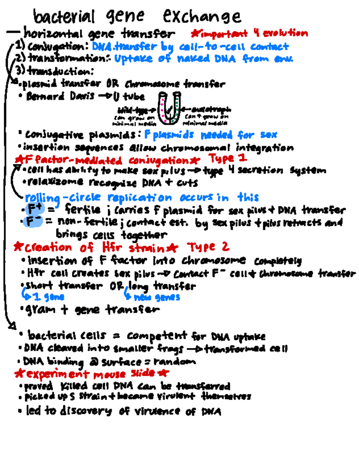 Lecture Notes on Horizontal Gene Transfer in Bacteria - Studocu