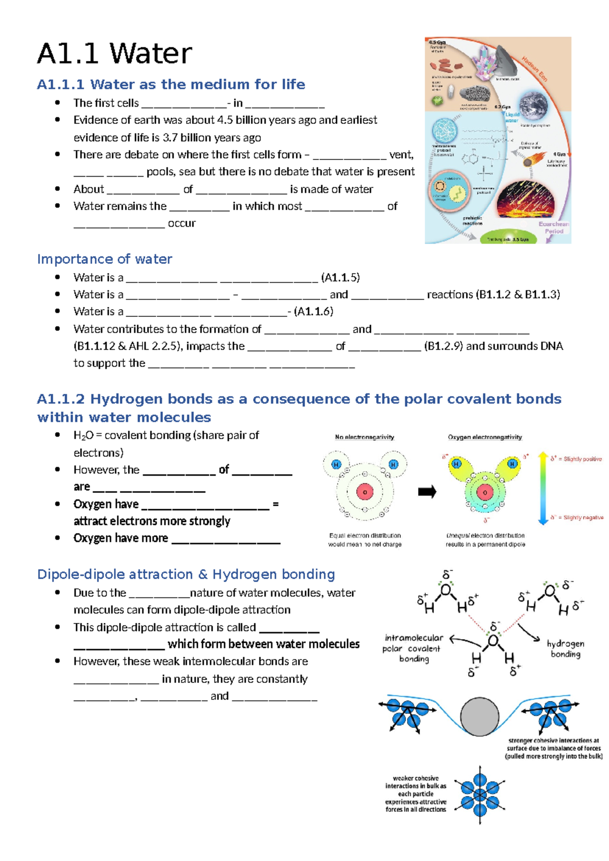 A1.1 Water: Essential Medium for Life and Its Properties - Studocu