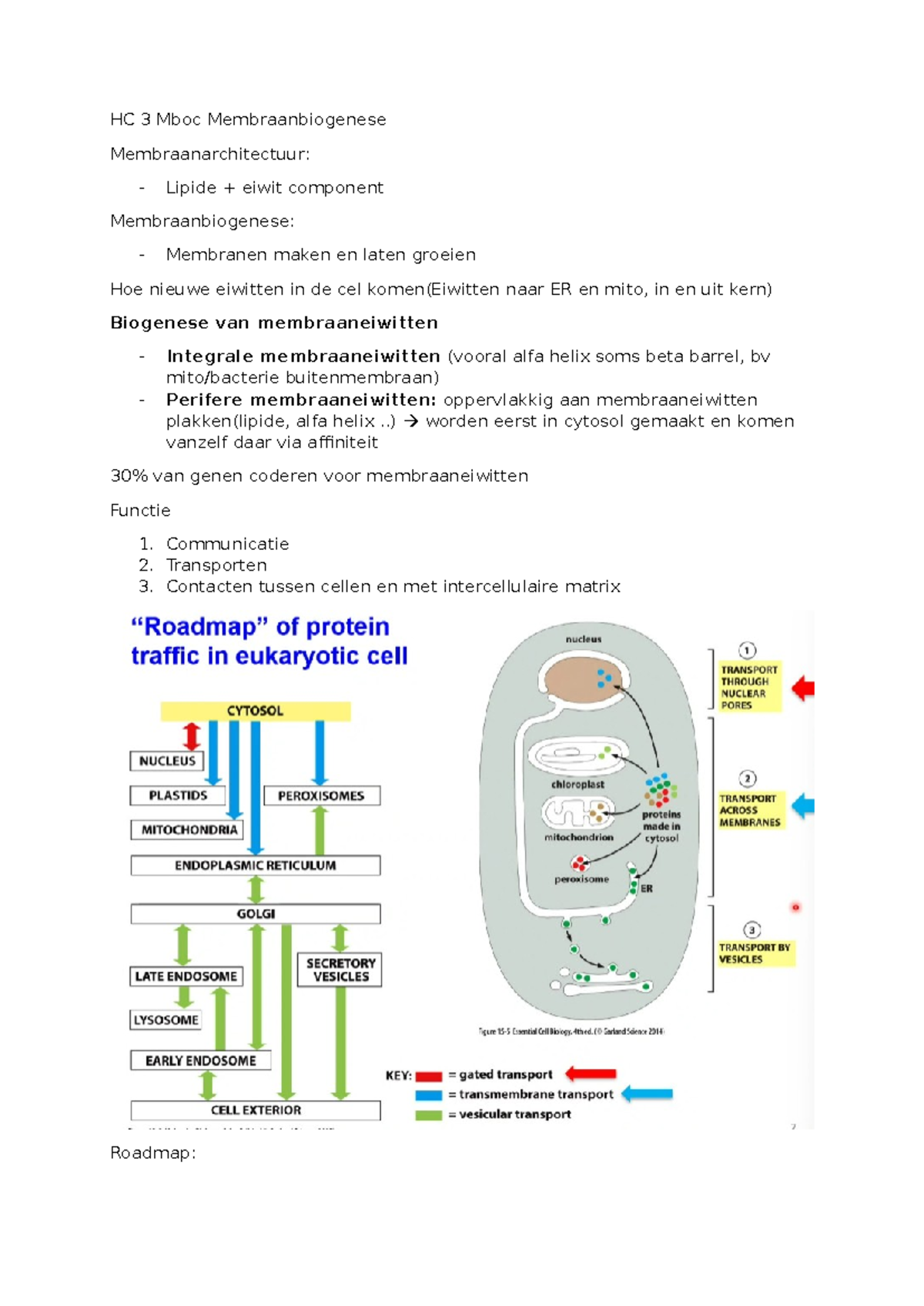 HC 3 MBOC Membraanbiogenese: Structuur, Transport en Vouwing van ...