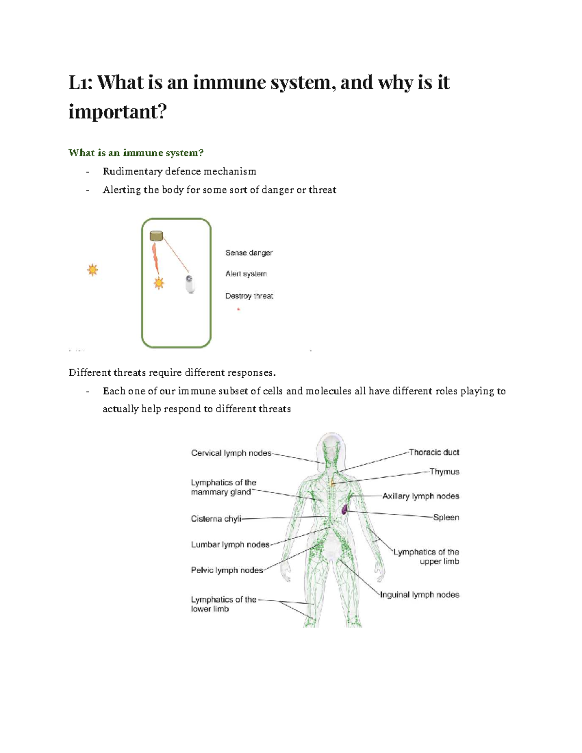 IMMU2011: Understanding the Immune System and Its Importance - Studocu