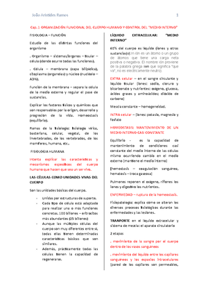 Claves sobre la enfermedad de Alzheimer - Claves sobre la enfermedad de ...