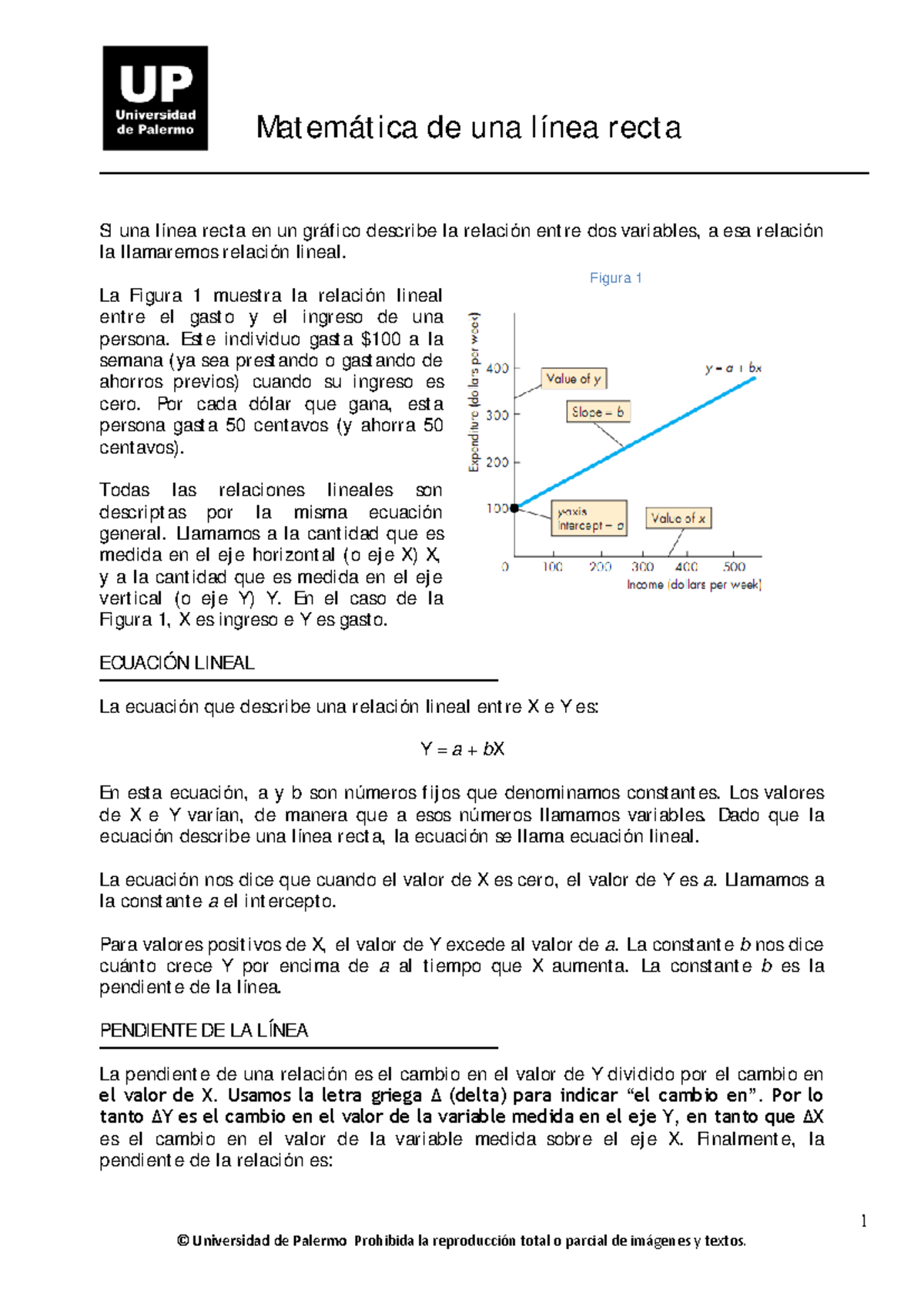 Matem%C3%A1tica%20de%20una%20L%C3%ADnea%20RectaLa%20importancia%20de ...