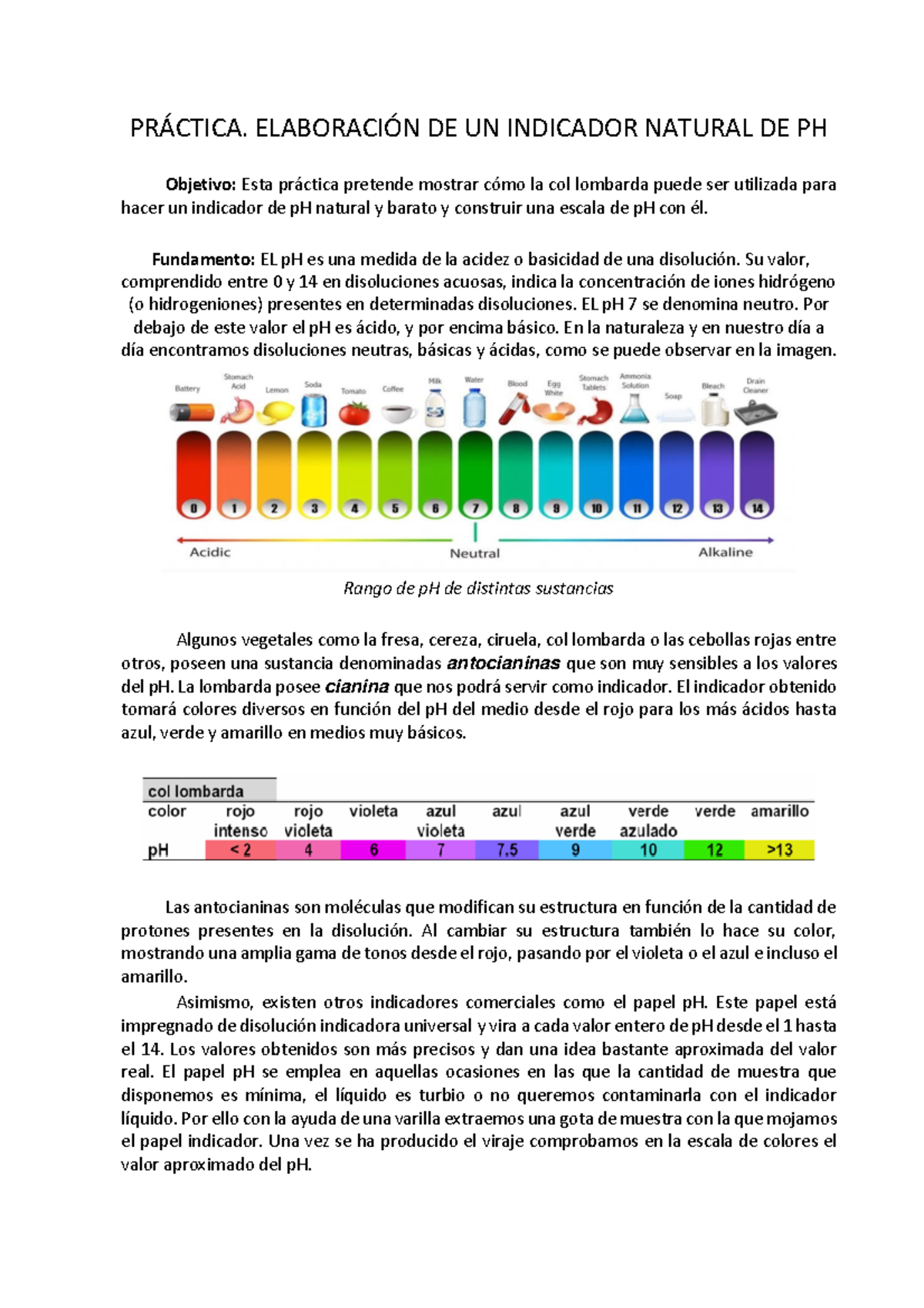 Práctica: Elaboración de un Indicador Natural de pH con Col Lombarda ...