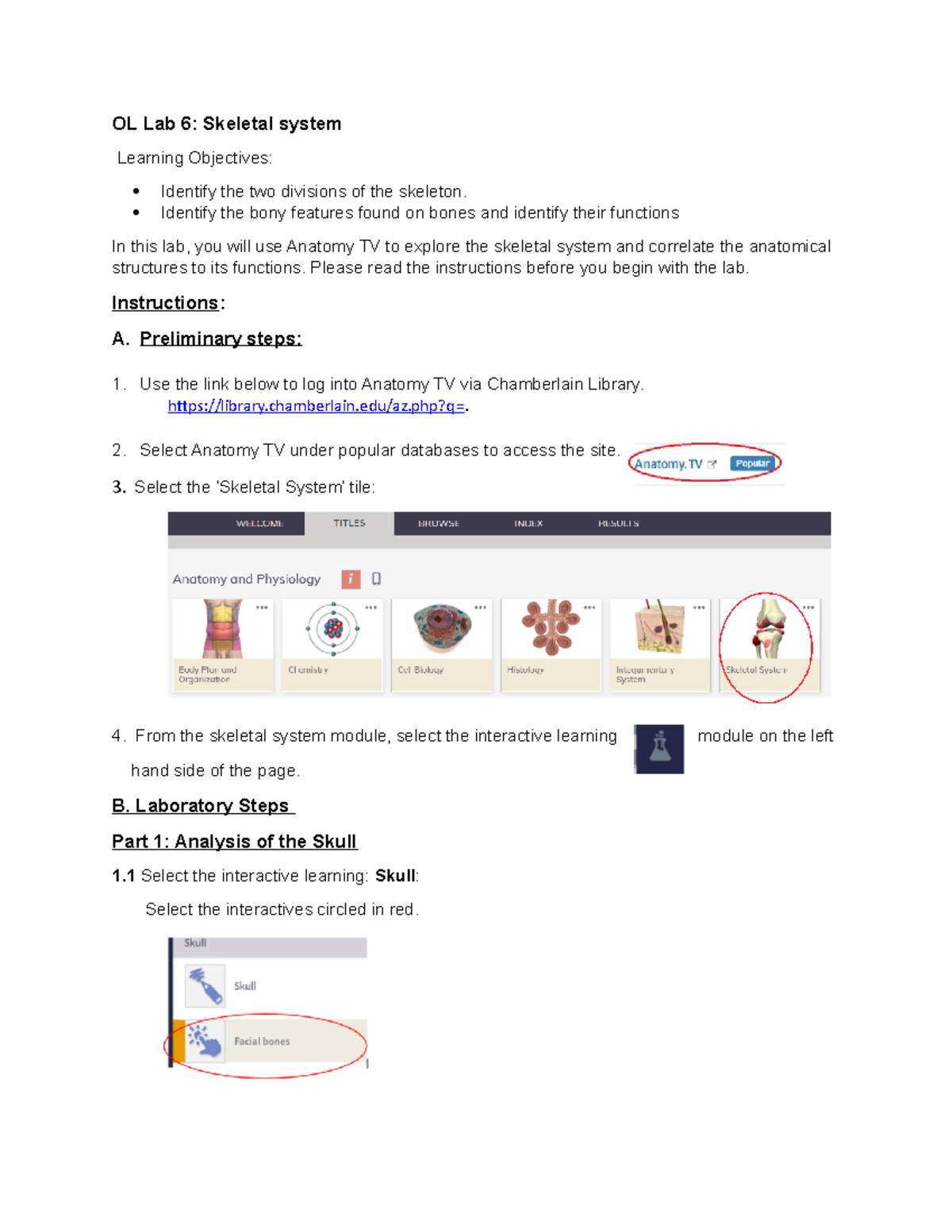 Final LABS BIOS251 Online Labs Week 6 Skeletal system Lab - OL Lab 6 ...