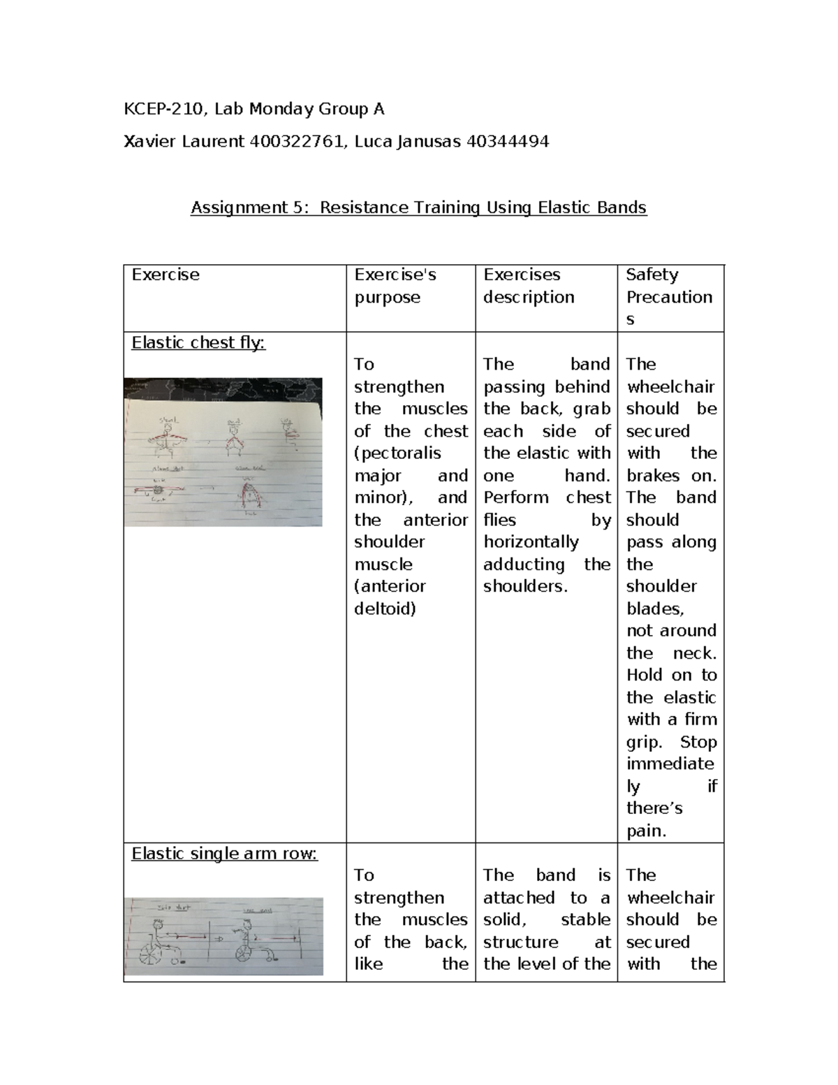 KCEP 400322761 Lab 5 Assignment: Resistance Training with Elastic Bands ...