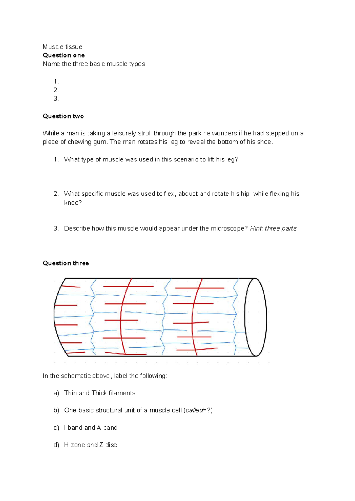 Muscle & Nervous Tissue Tutorial Worksheet (BIO101) - Studocu