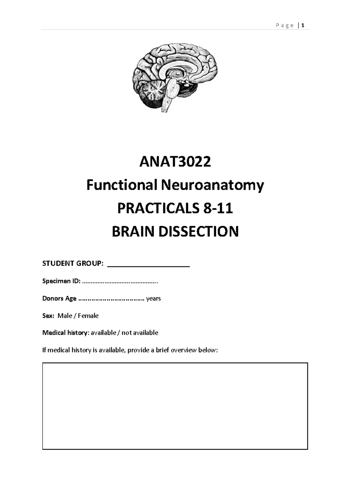 ANAT3022 Functional Neuroanatomy Brain Dissection Manual 2025 - Studocu