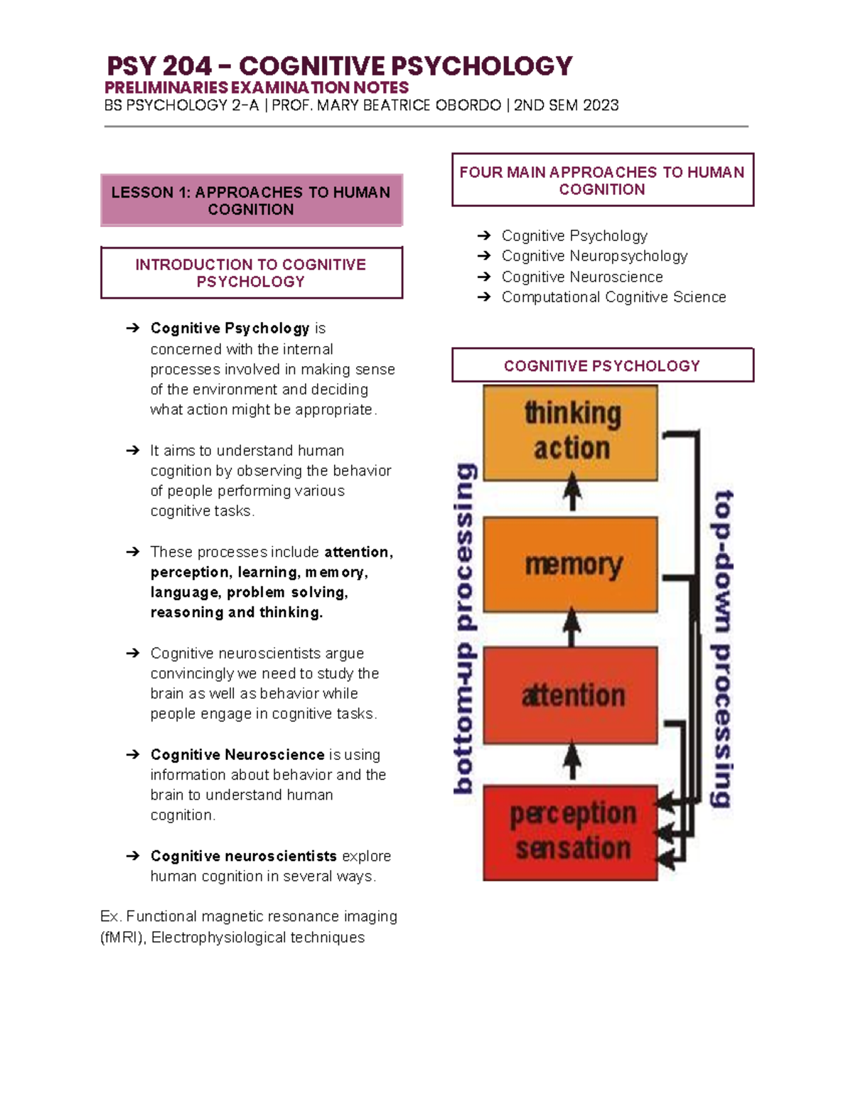PSY-204 Prelims Notes: Cognitive Psychology & Visual Perception - Studocu