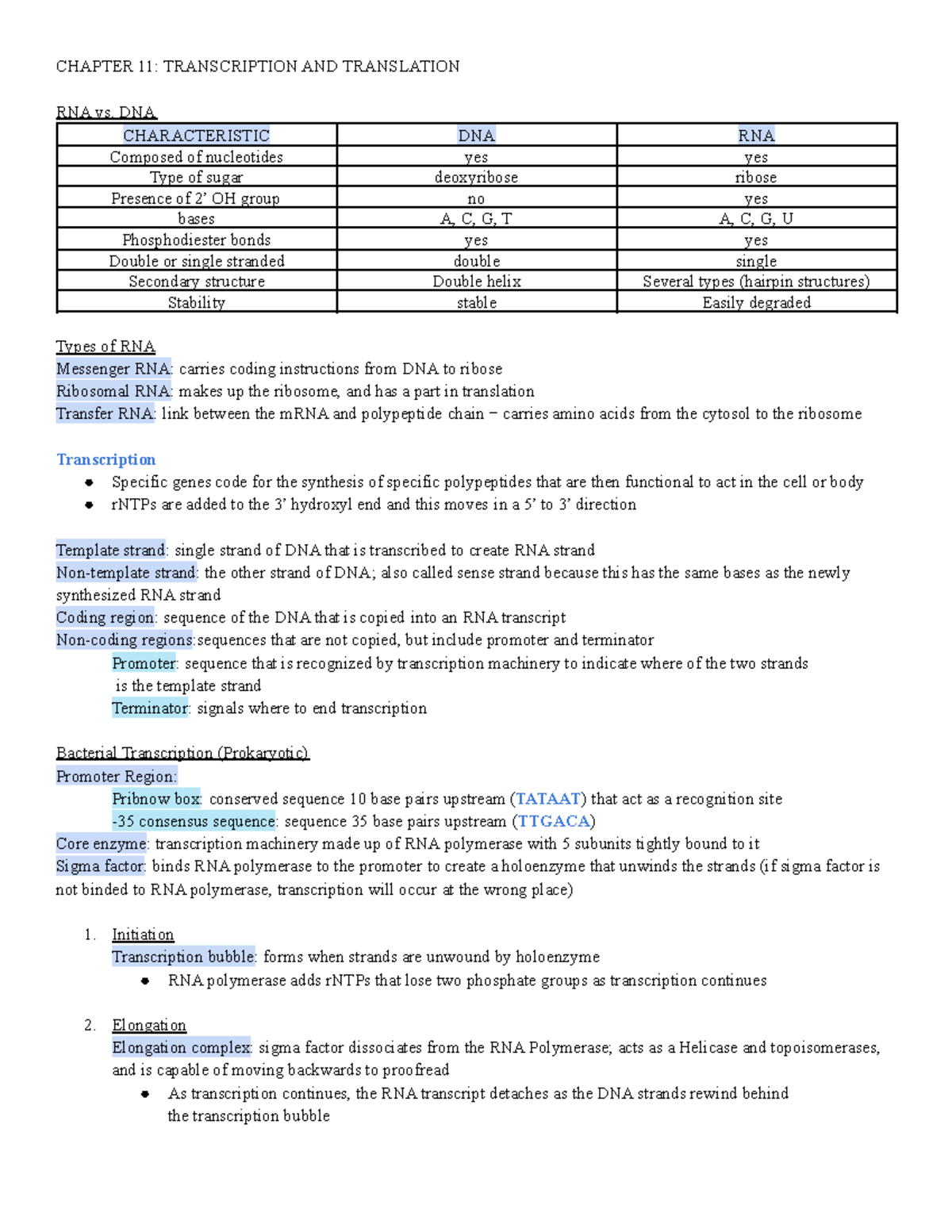 Chapter 11: Transcription, Translation, and RNA Processing - Studocu