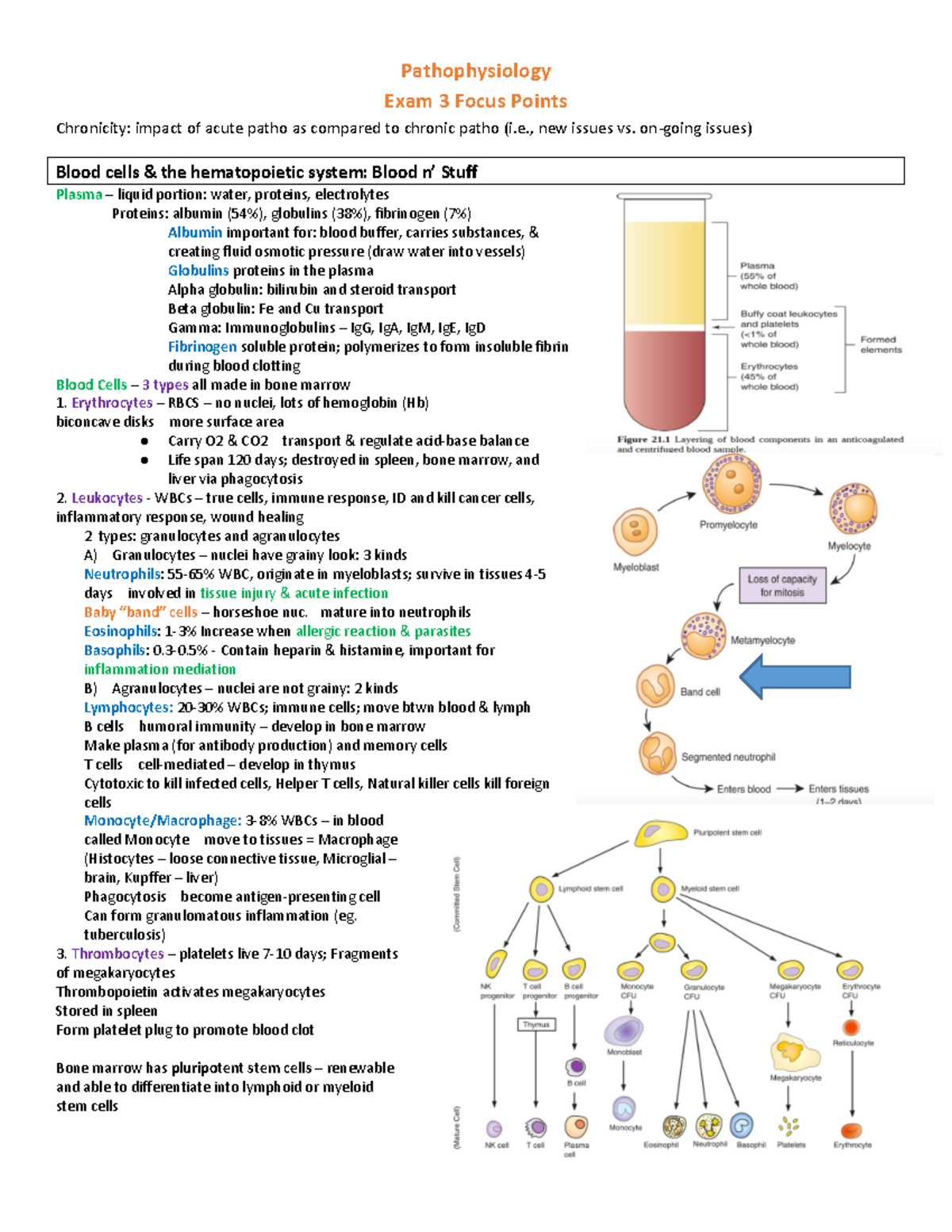 Pathophysiology Exam 3 Key Focus Areas and Study Points - Studocu
