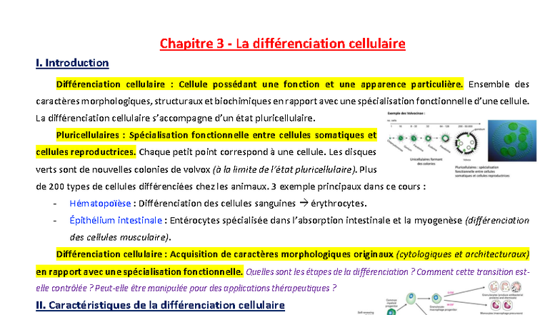 3. Différenciation cellulaire - Chapitre 3 - La différenciation ...